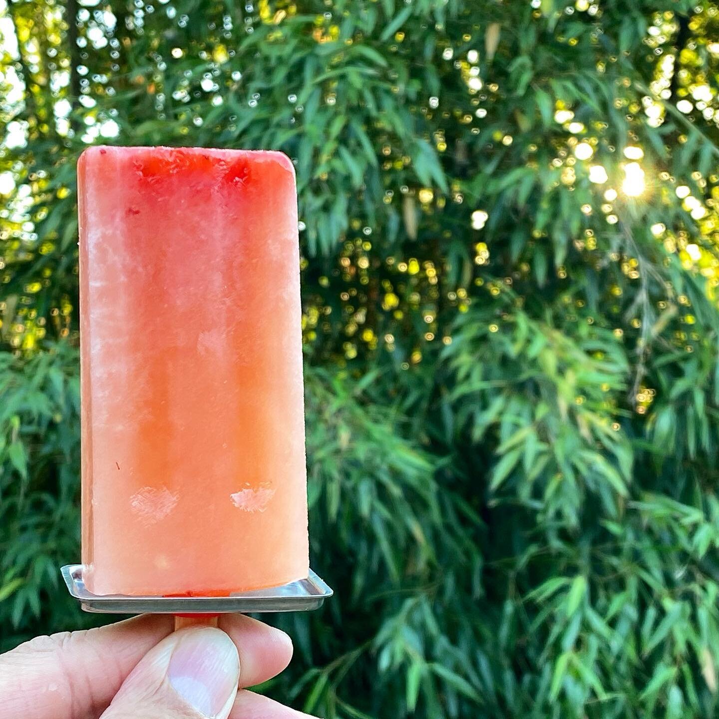 We have been busy little bees here at Sunfresh for the last couple of months, so we apologize for the radio silence! 
☀️
Check out these delicious popsicles we made during that heat wave. Want to make your own this Summer? Just grab your favorite jui