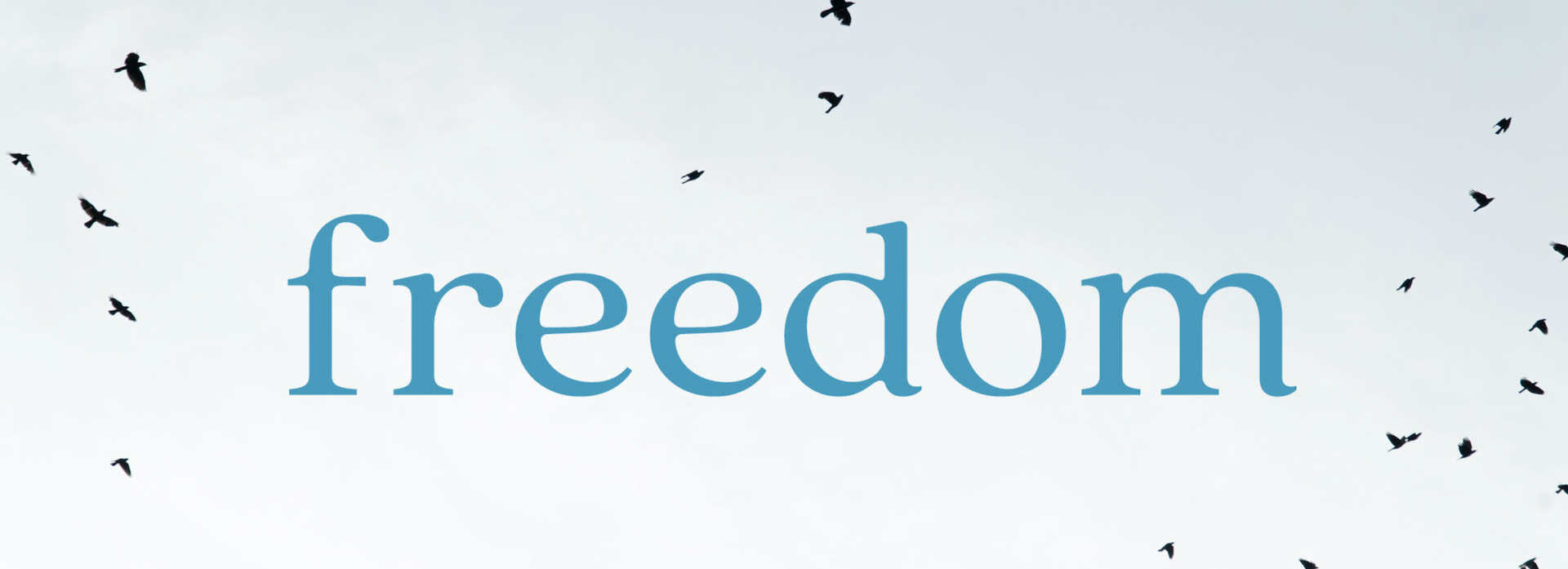 Freedom [Fall '26]