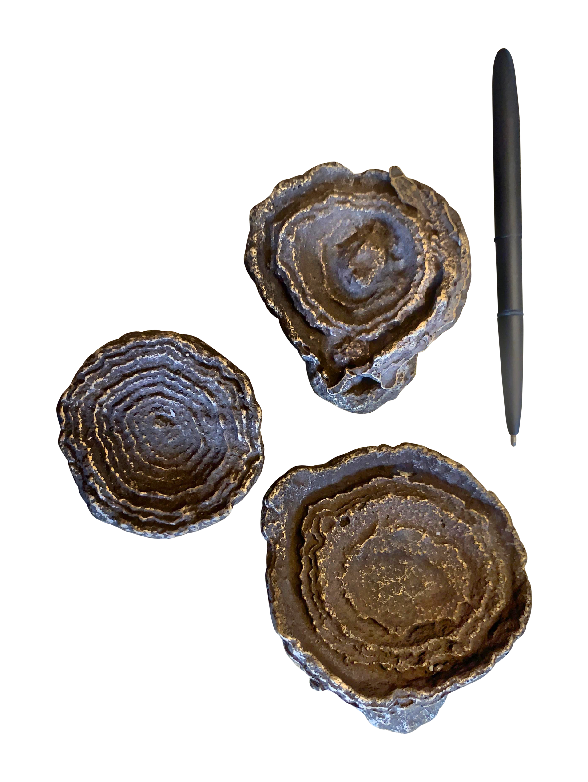 cast-bronze-fossilized-mineral-desk-ornaments-set-of-3.png