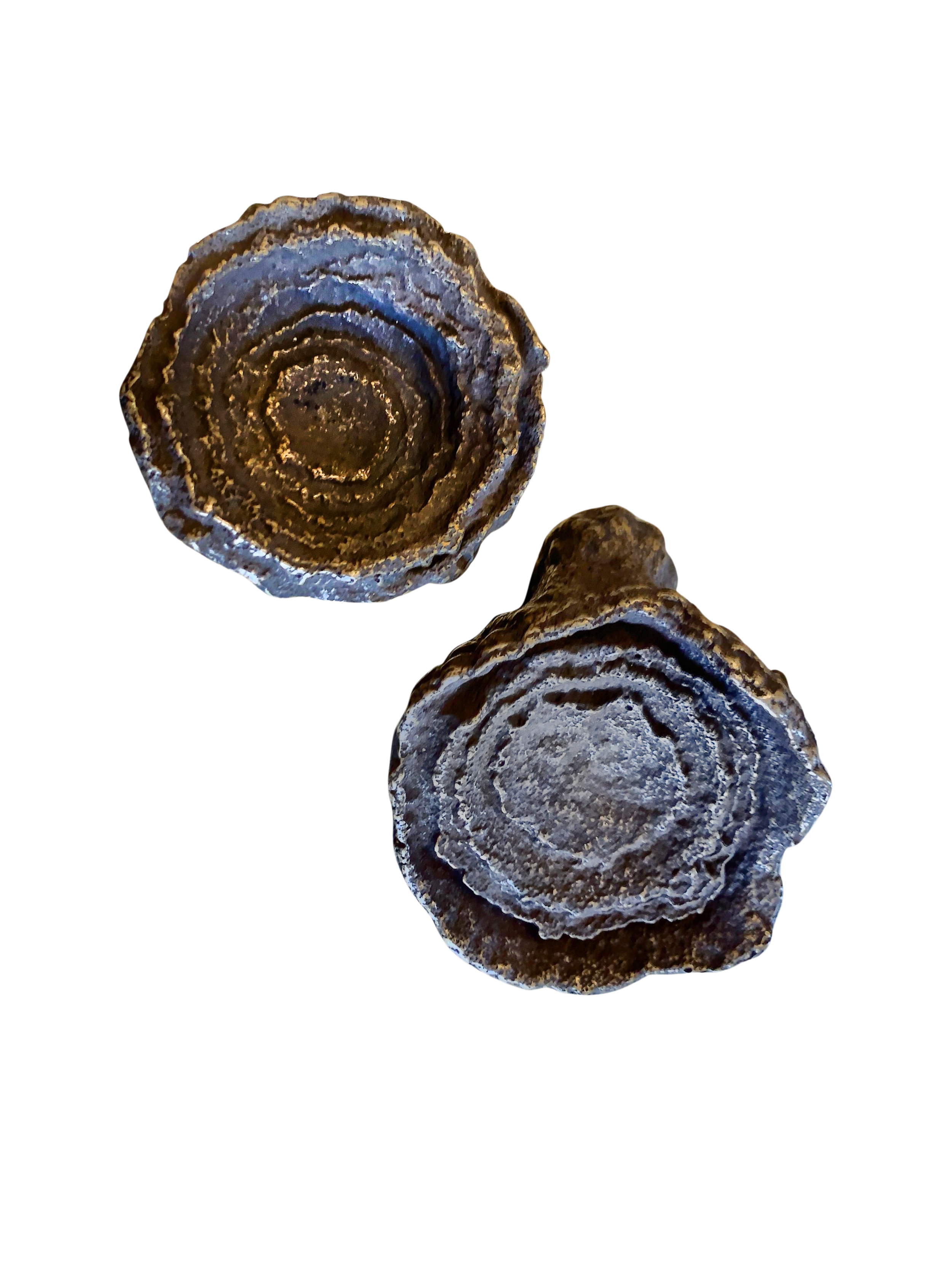 cast-bronze-fossilized-mineral-desk-ornaments-set-of-2-5392.png