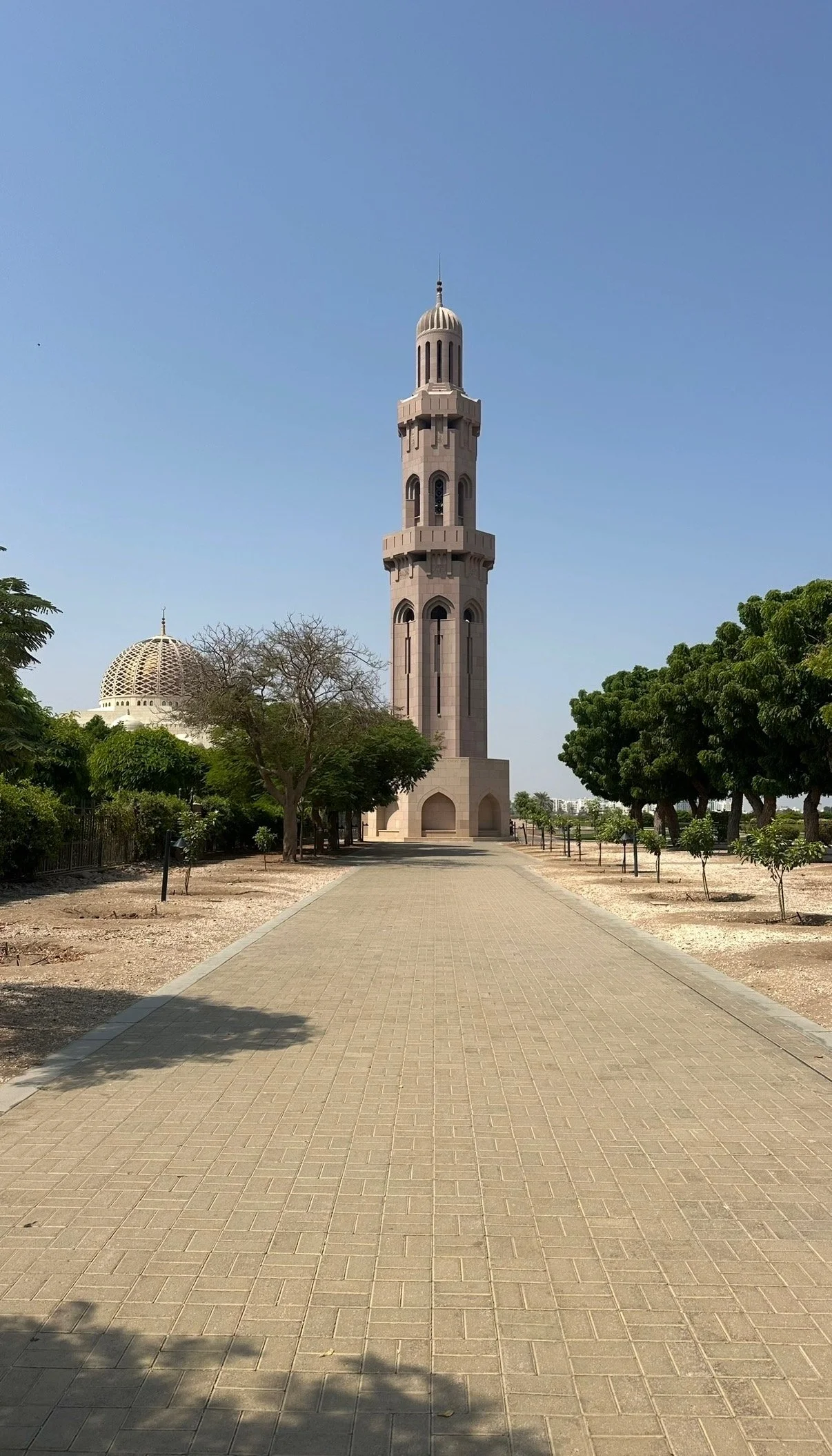 IMG_0648.jpeg (Copy)