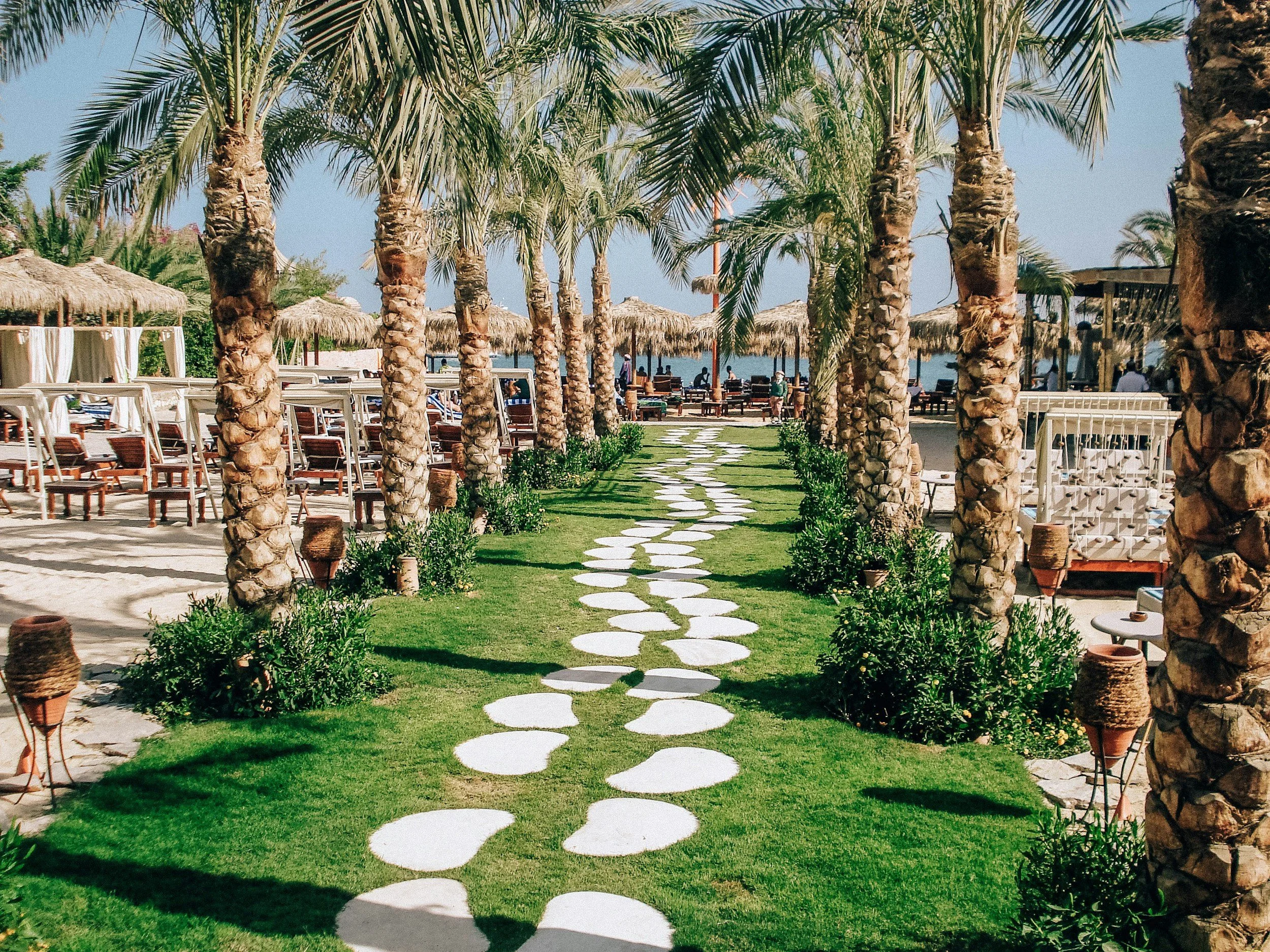 A pathway lined with palm trees and green bushes leads to a beach area with lounge chairs and thatched umbrellas, with the ocean in the background.