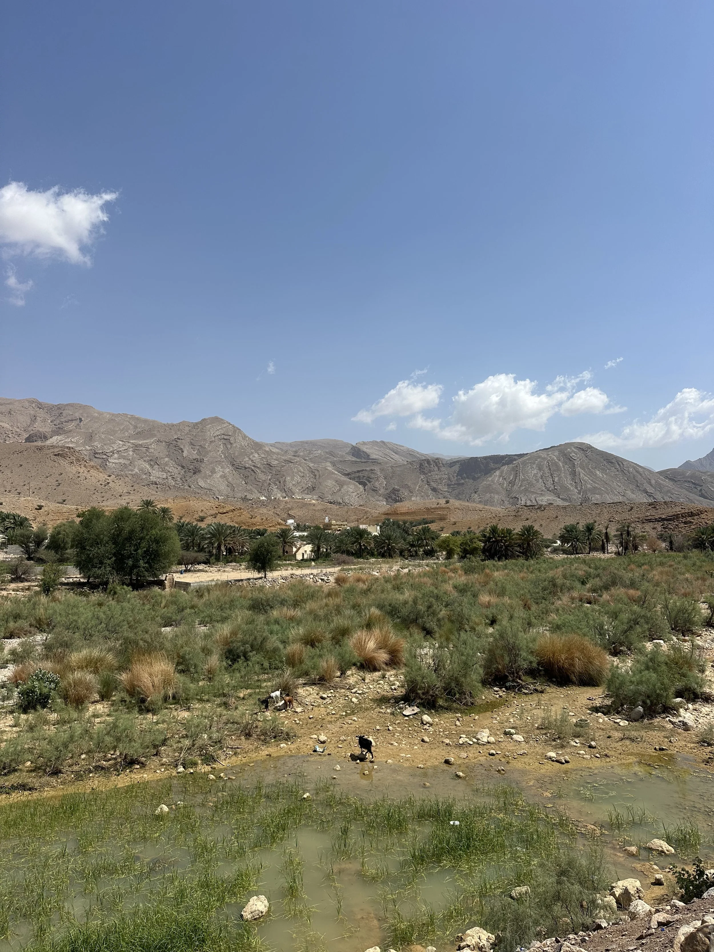 IMG_5797.jpeg (Copy)