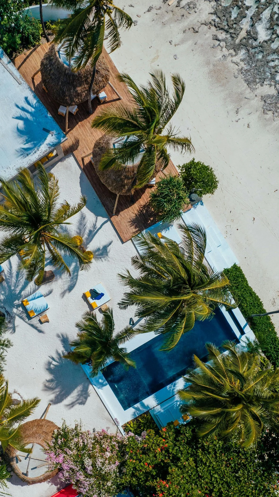 Aerial view of a beach resort in Bali with palm trees, a swimming pool, lounge chairs with towels, and thatched-roof huts over the sand.