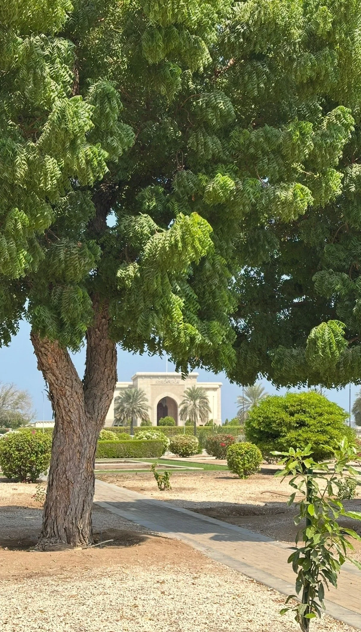 IMG_0650.jpeg (Copy)