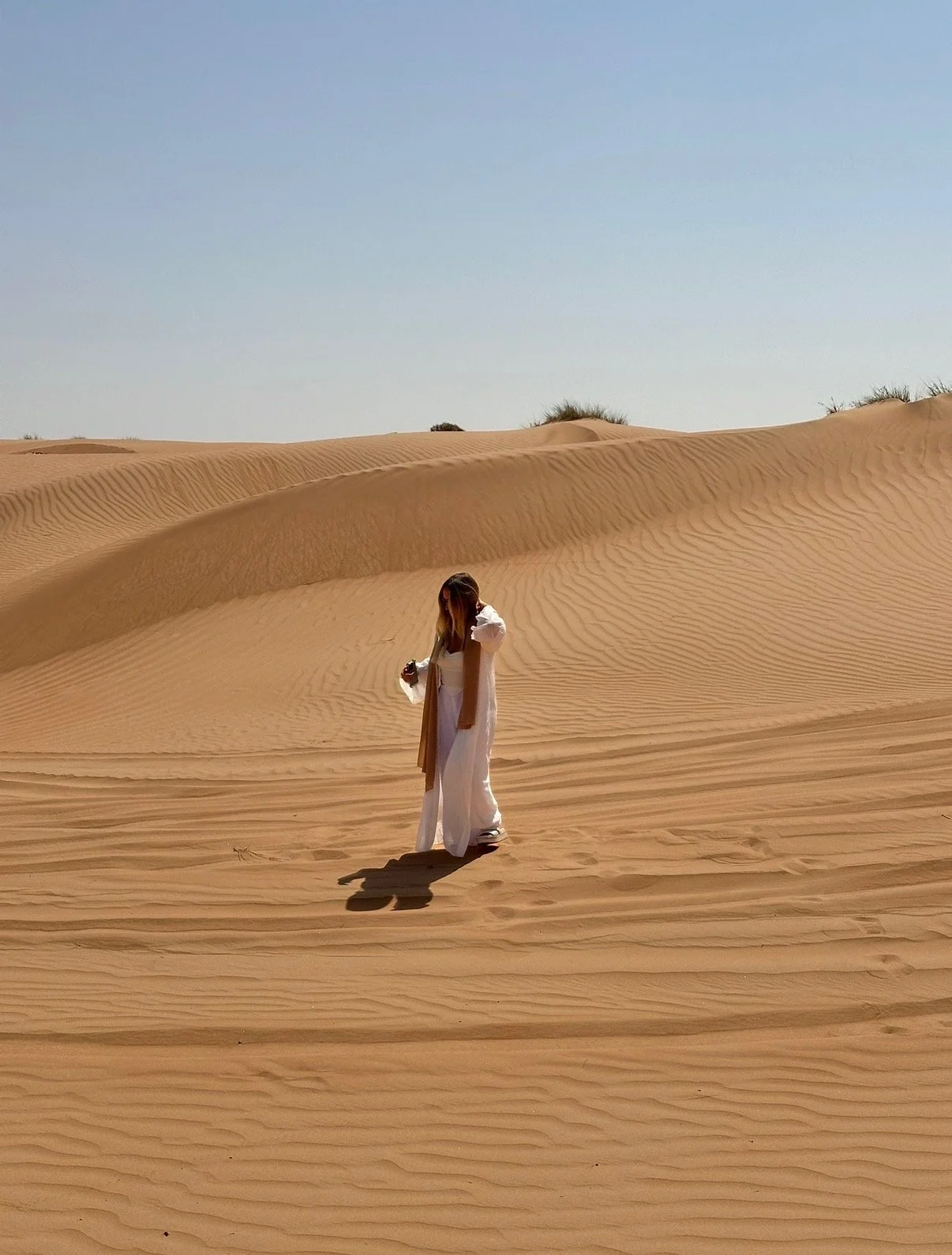 IMG_0646.jpeg (Copy)