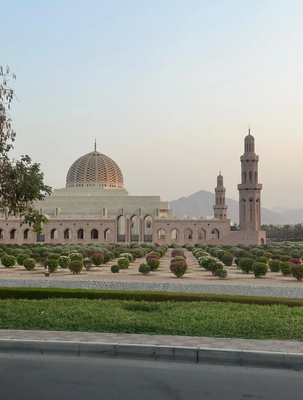 IMG_0653.jpeg (Copy)