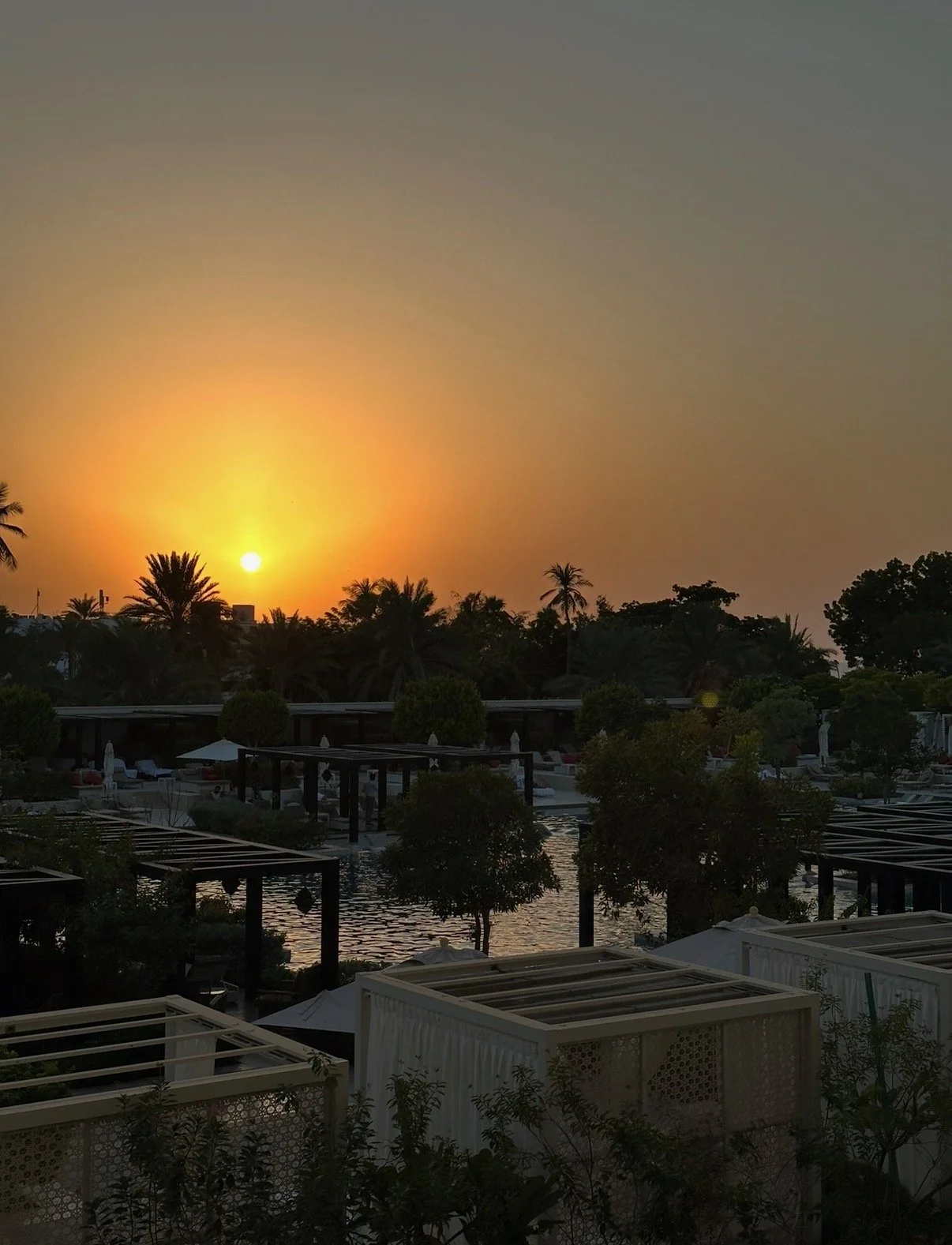 IMG_0656.jpeg (Copy)