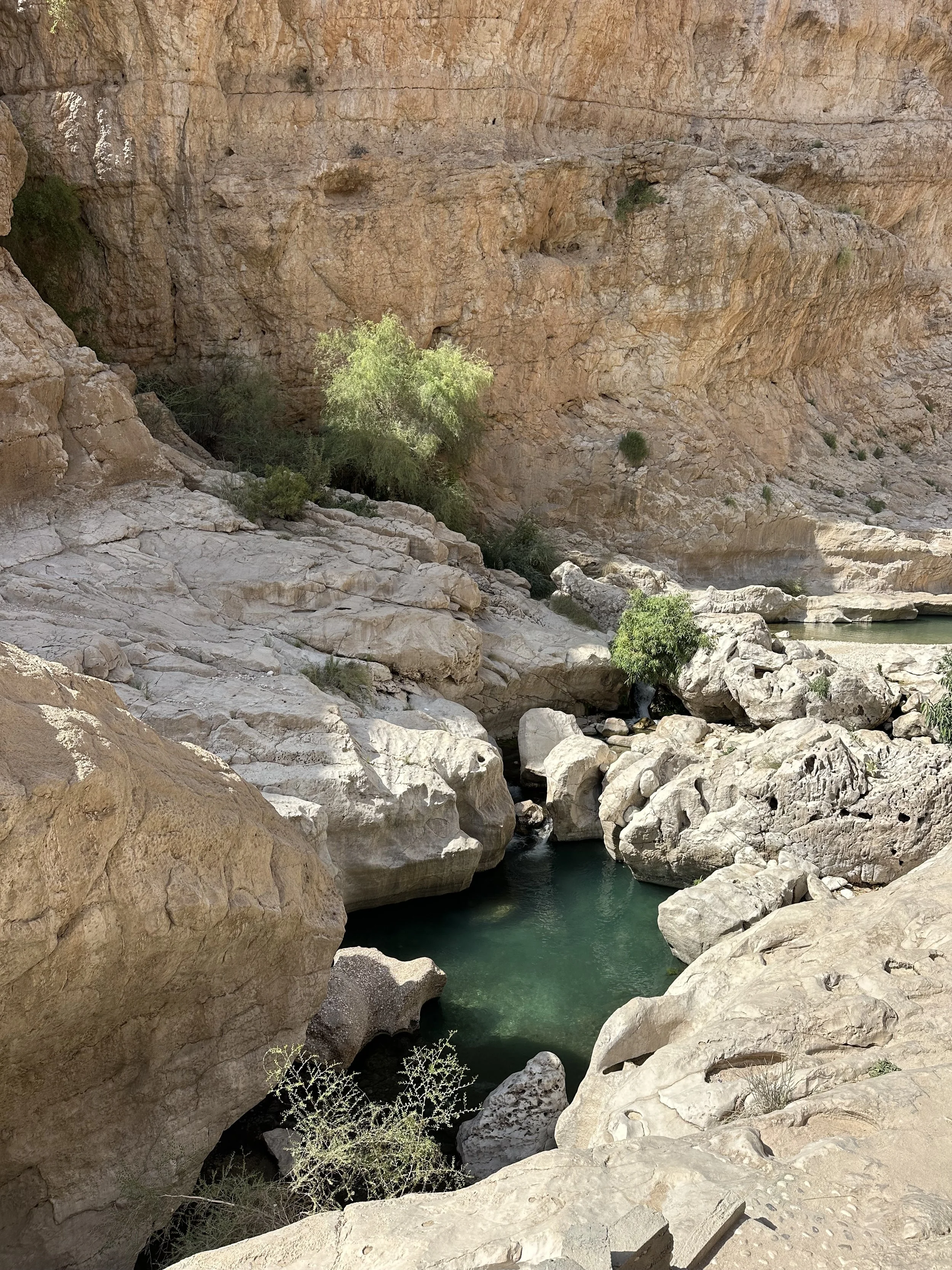 IMG_5827.jpeg (Copy)