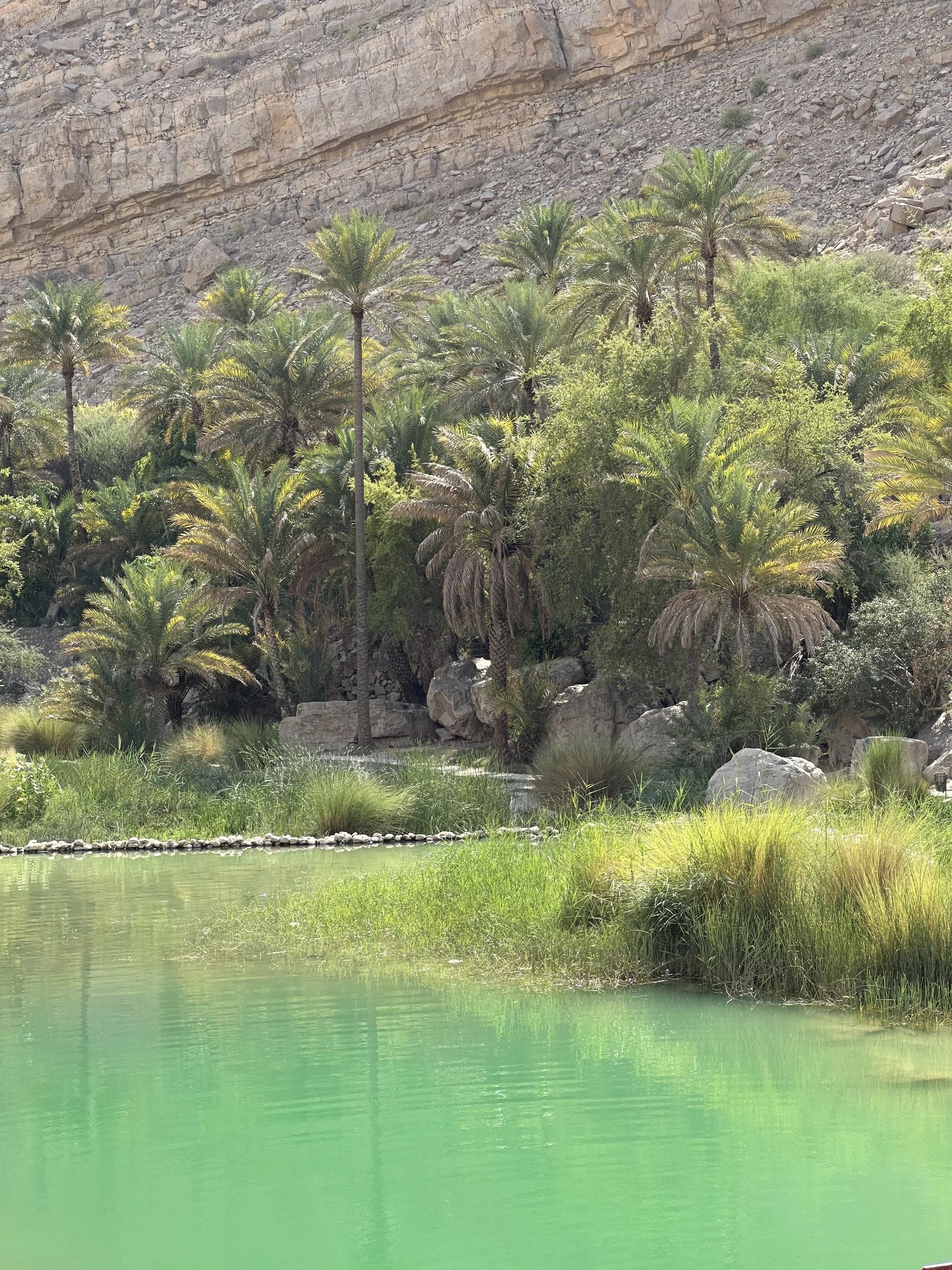 IMG_5808.jpeg (Copy)