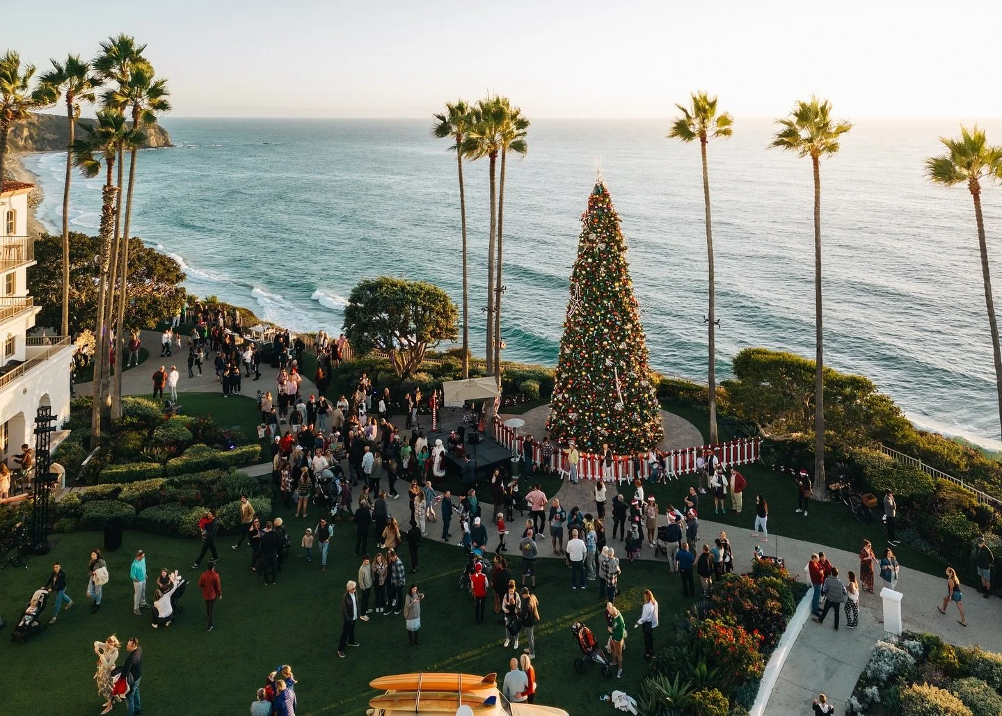 Merry Christmas from a West Coast wonderland 🎄🤙🏽 May you find your joy, in the snow, among the waves, or simply bundled up in bed!
