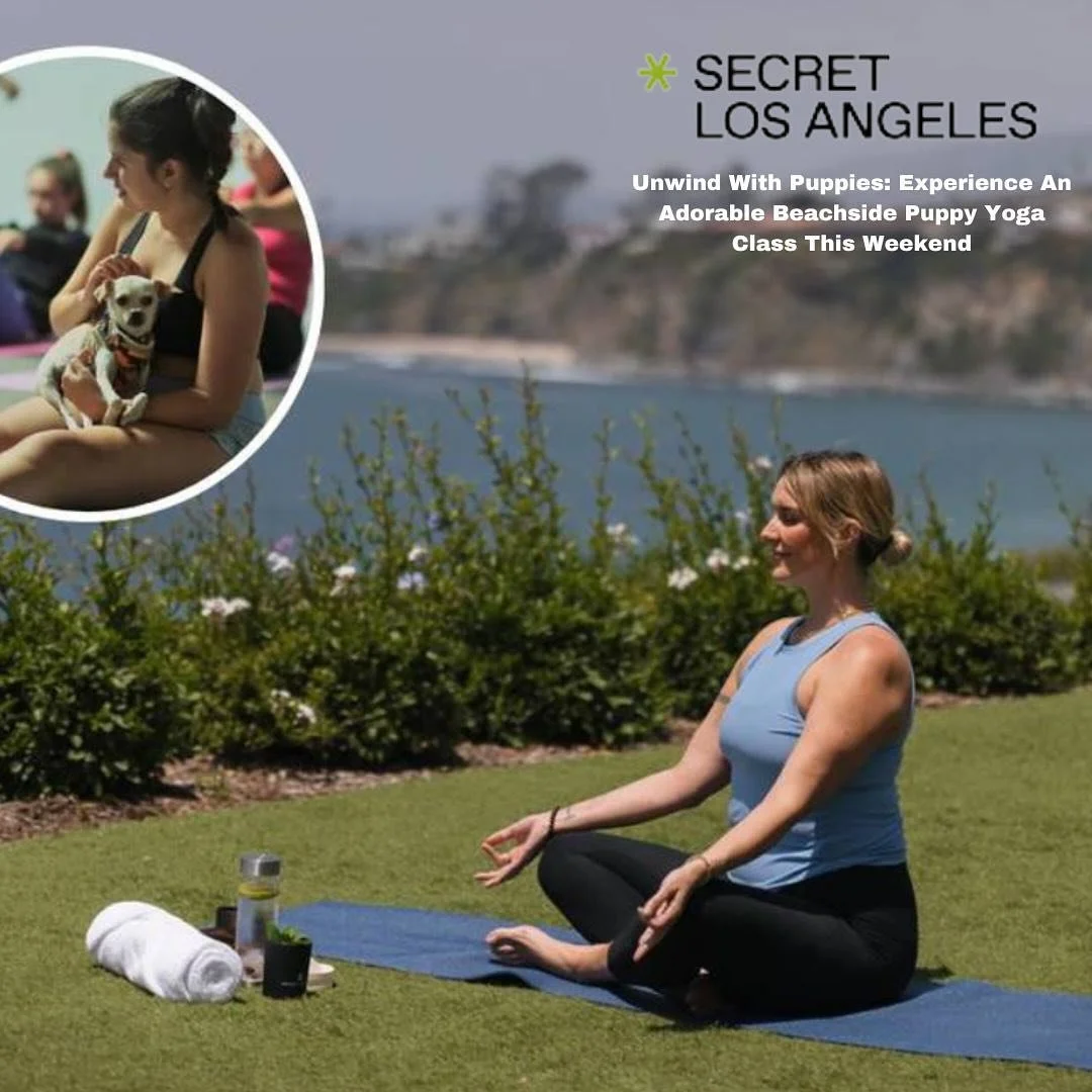 What could be more therapeutic than beachside puppy yoga? The @ritzcarltonlagunaniguel partners with @spirityogastudios to host an afternoon session of meditative stretching before pups join yogis for a natural release of endorphins! 🐶🧘🏽&zwj;♀️😍 