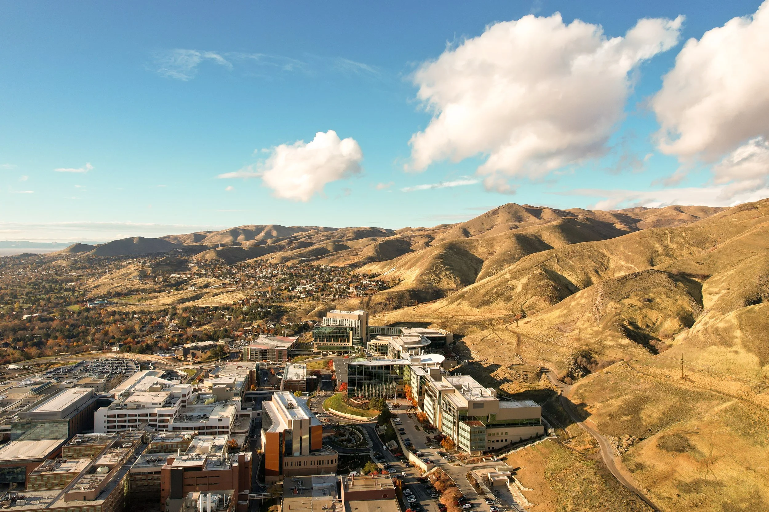 HCI-Aerial-Fall-2023-02.jpg