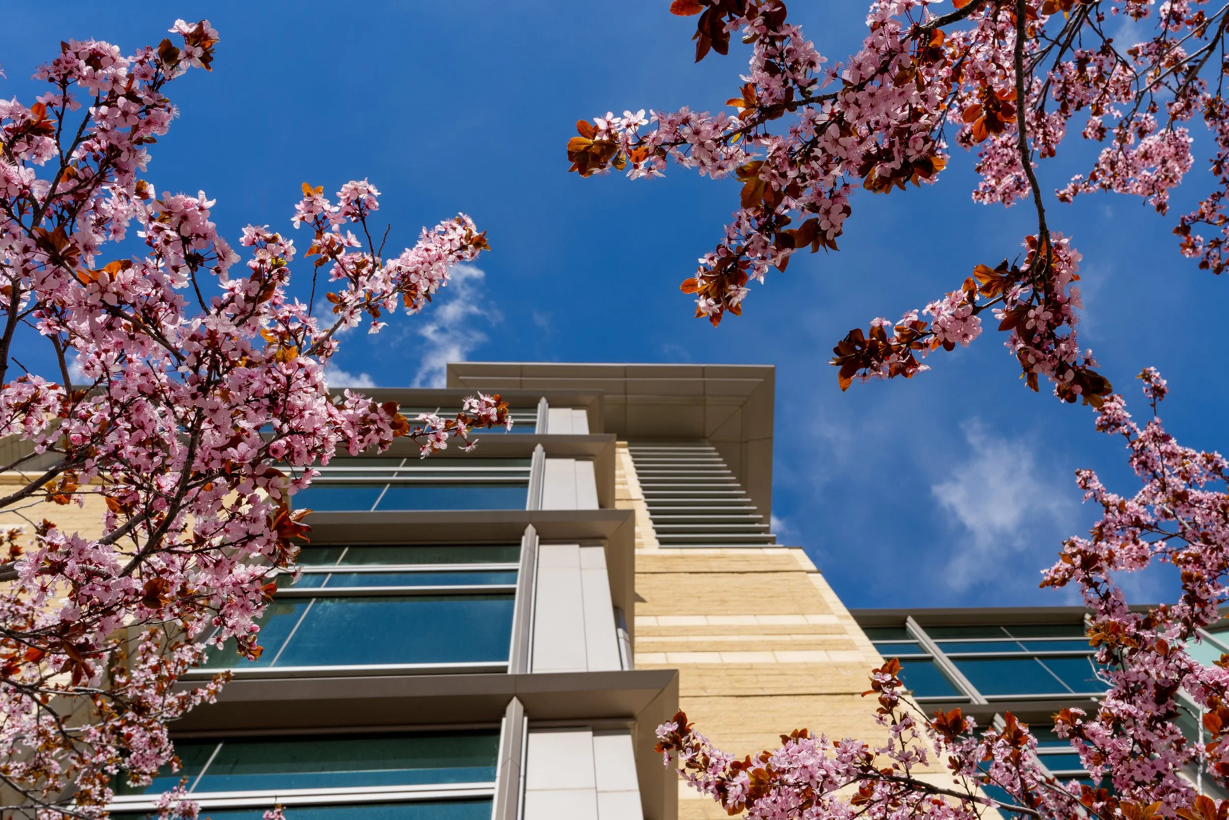 HCI-Spring-2024-8 (RS Exterior).jpg