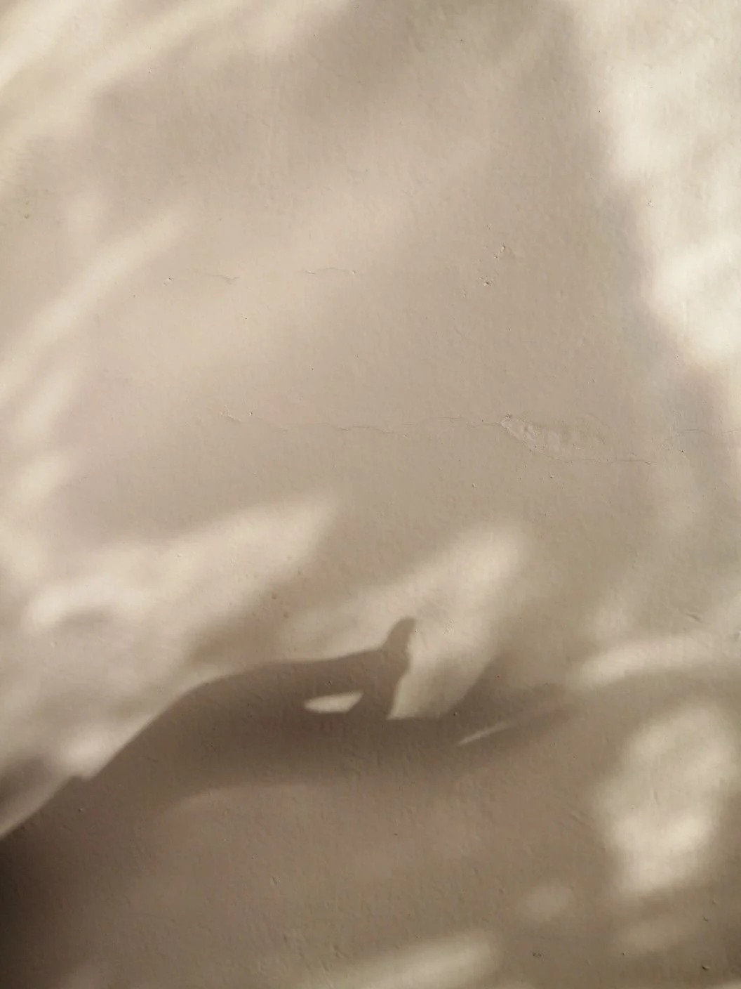 My journey as an empath