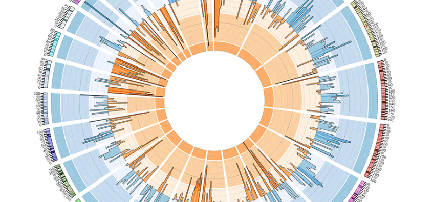 Data Visualization: The Wild West of Complexity — Women in Data