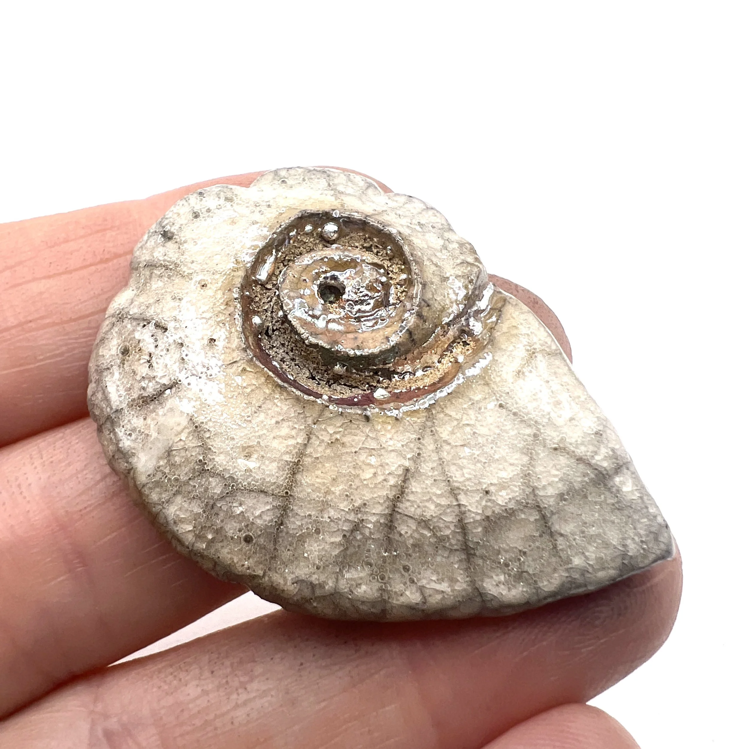 White Crackle and Fine Silver Ammonite Shell Raku Cabochon Jewelry Supply Handmade by MAKUstudio MAKU raku