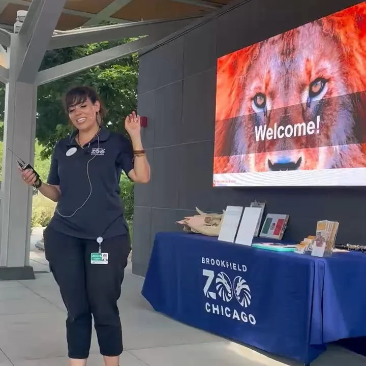 Thank you, Brookfield Zoo, for welcoming us for an unforgettable performance! 🐂🎶

PCCCArts were proud to present el Toro Mambo to close out ZAP! WORLD WEDNESDAYS alongside the talented Lane Tech Banda students, in collaboration with NIU Banda and B