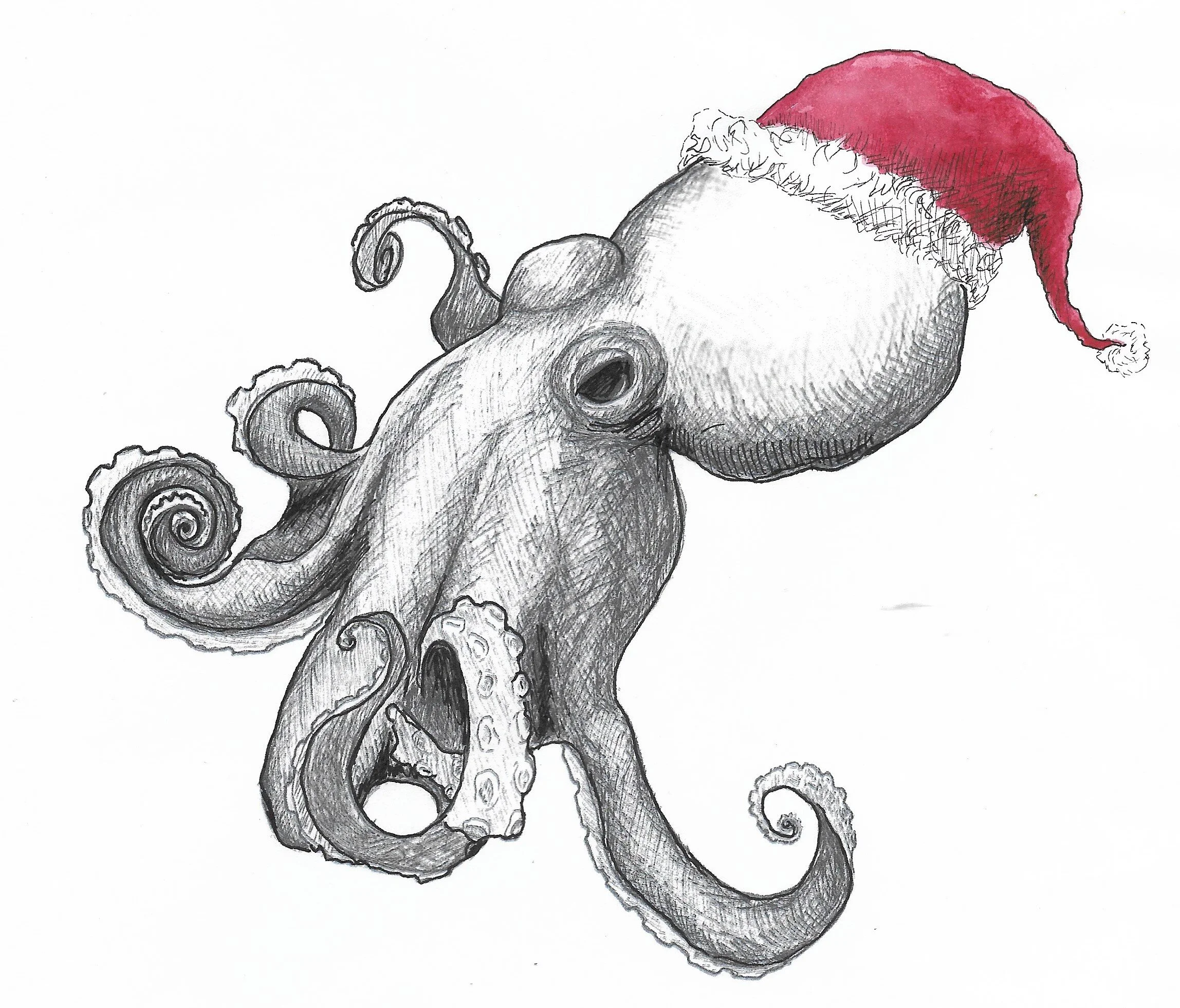 christmas octopus.jpg
