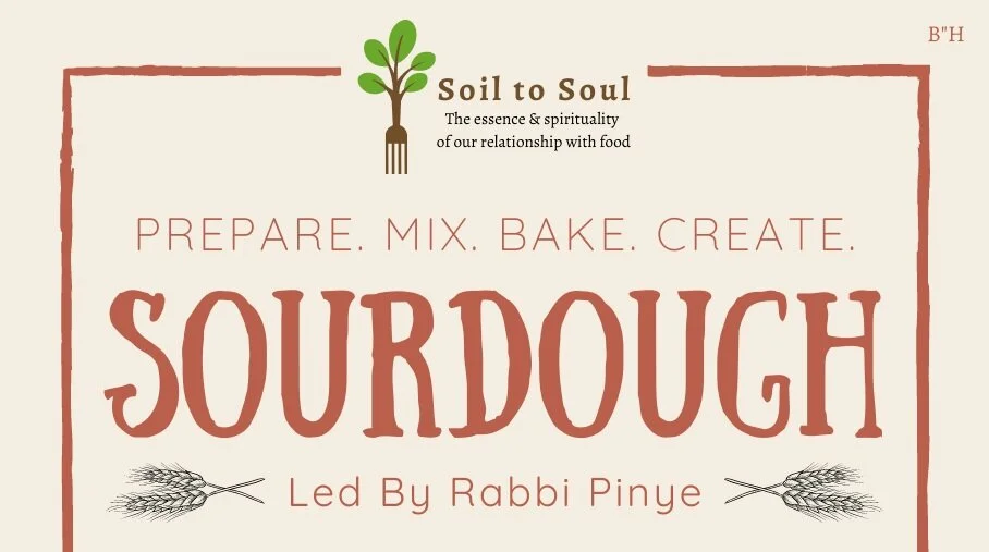 Soil to Soul - Sourdough
