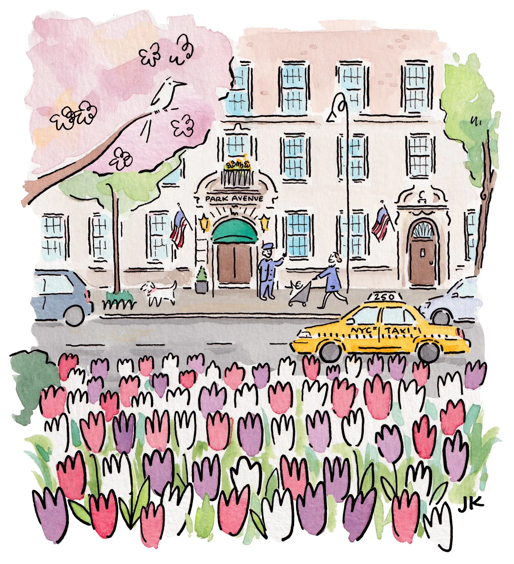 Park Avenue Tulips 2026.jpg