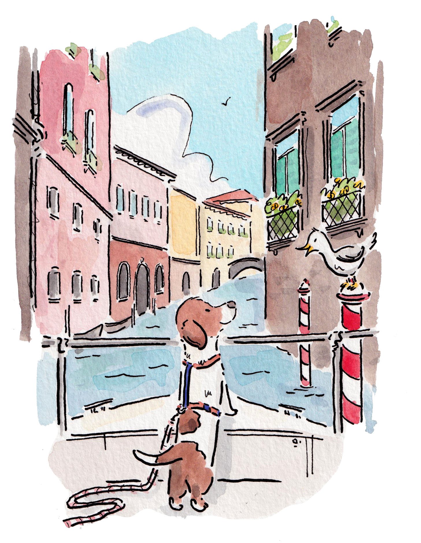 Little dog in Venice.jpg