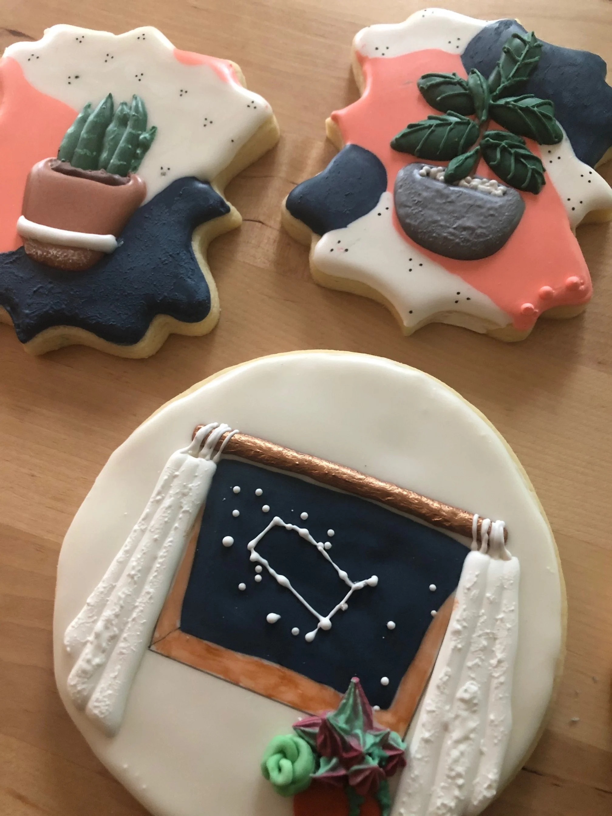 Potted Succulent cookies.jpg
