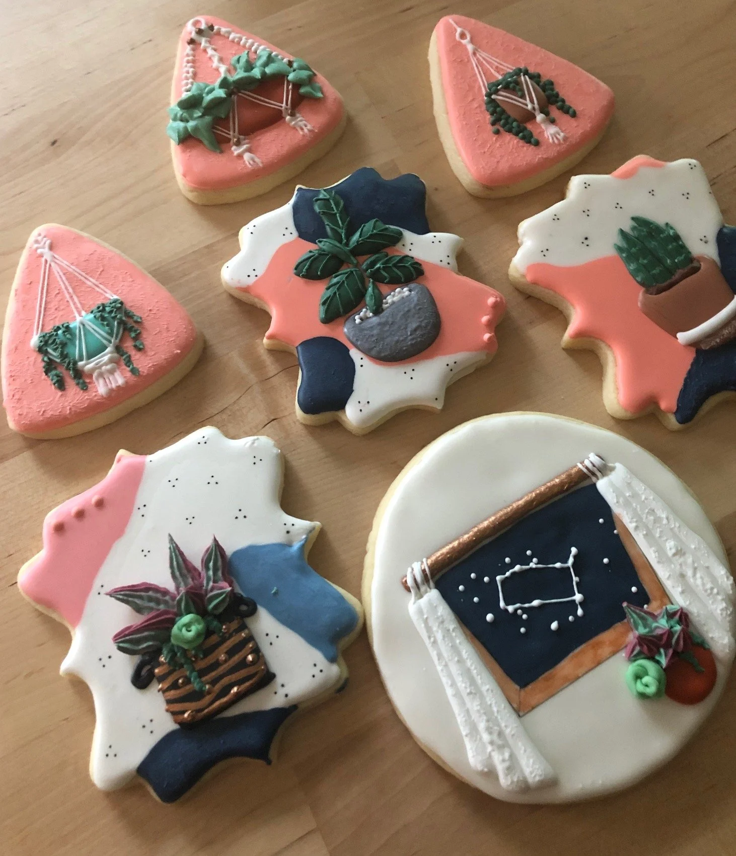 Potted Succulent cookies spread.jpg