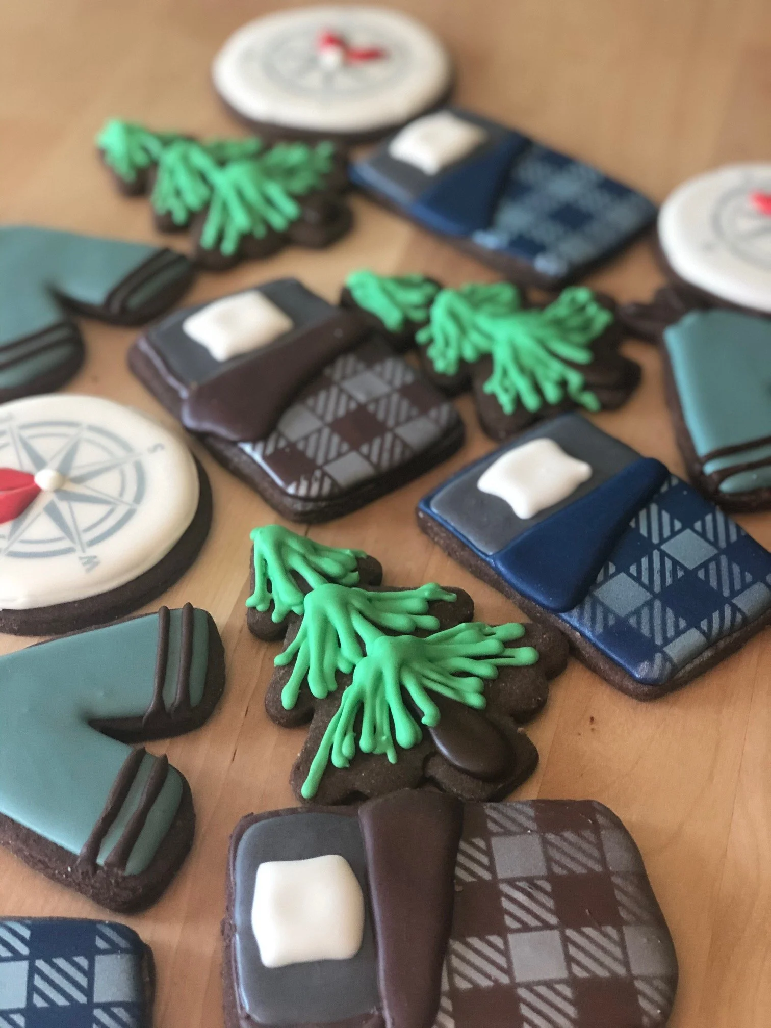 sleeping bag n compass cookies.jpg