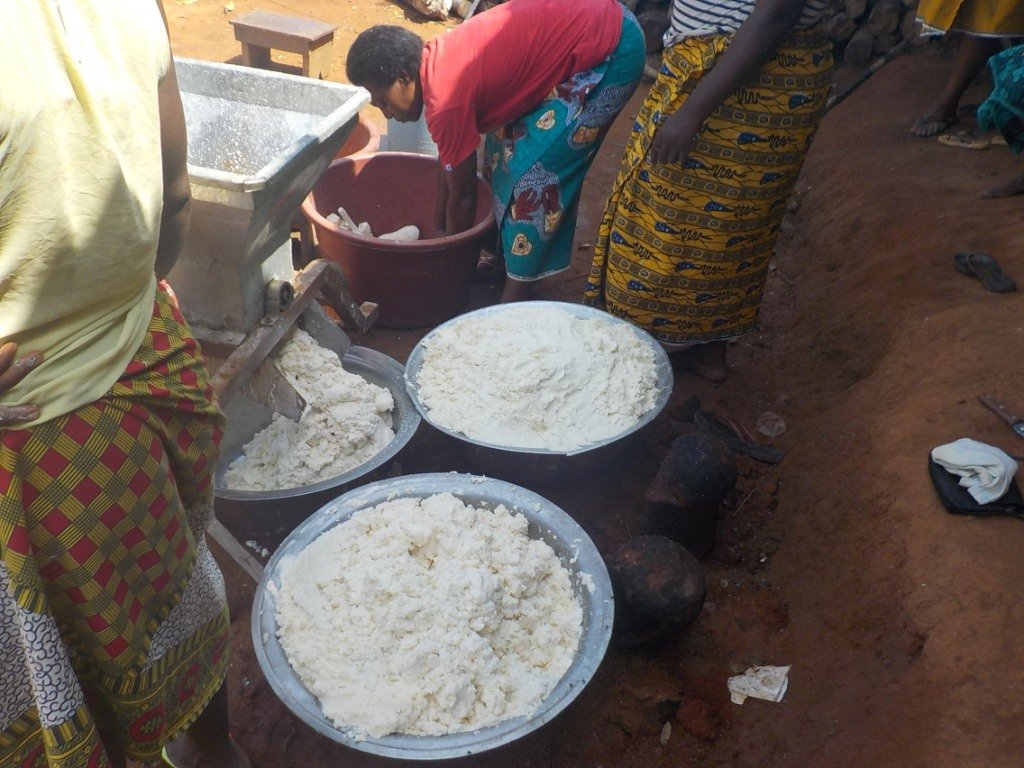 UICN project Donation of cassava grinders 4.JPG