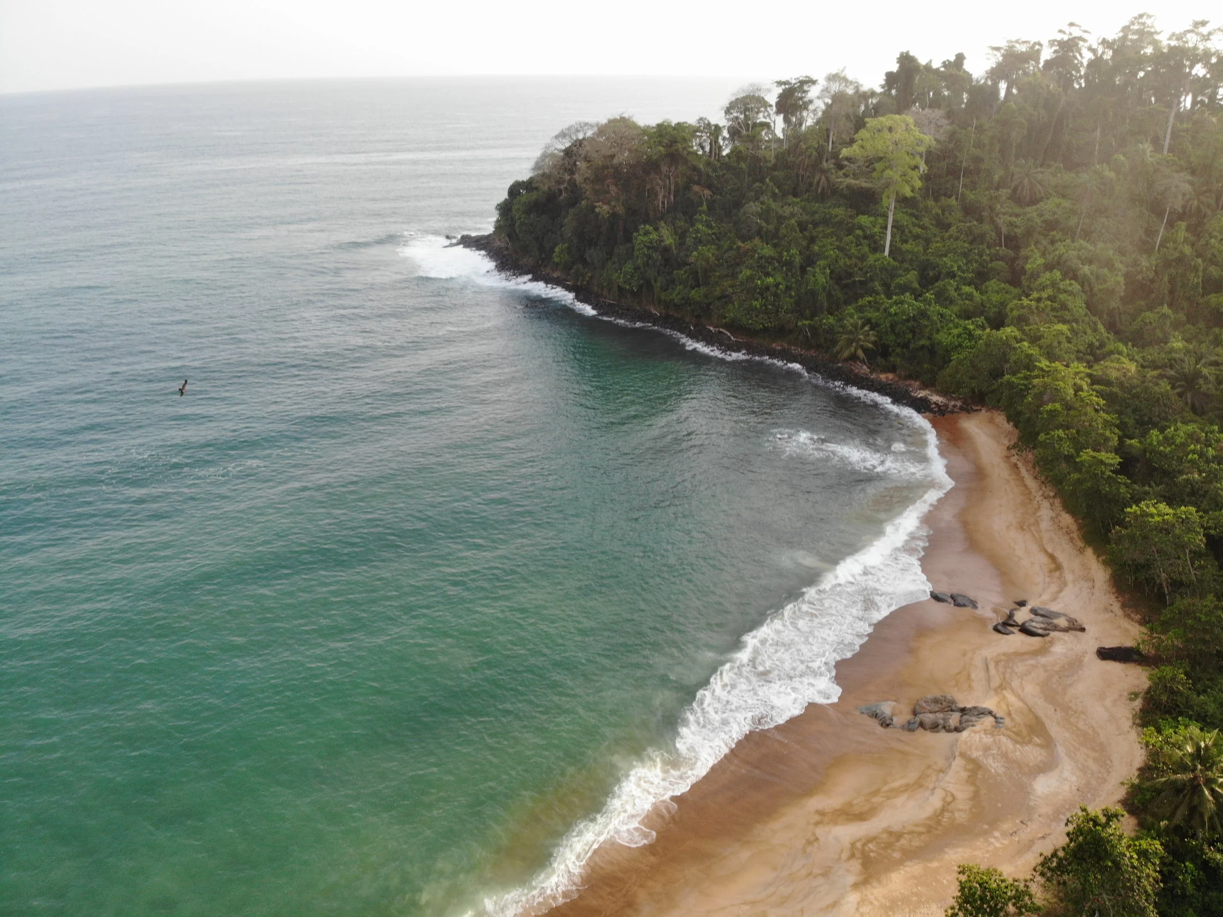 Crique dans l'AMP de Grand Bereby
