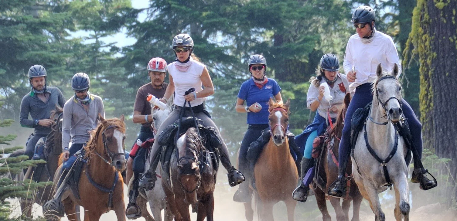 Tevis Lead pack edit.jpg