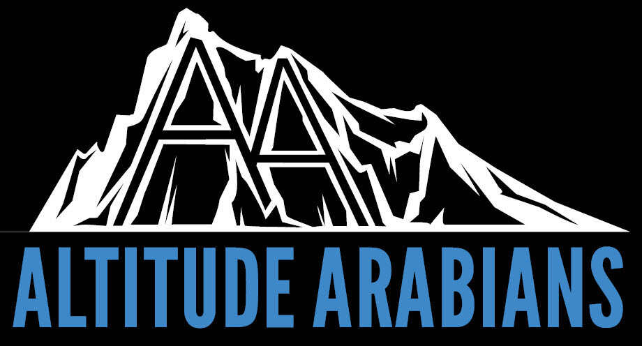 Altitude Arabians