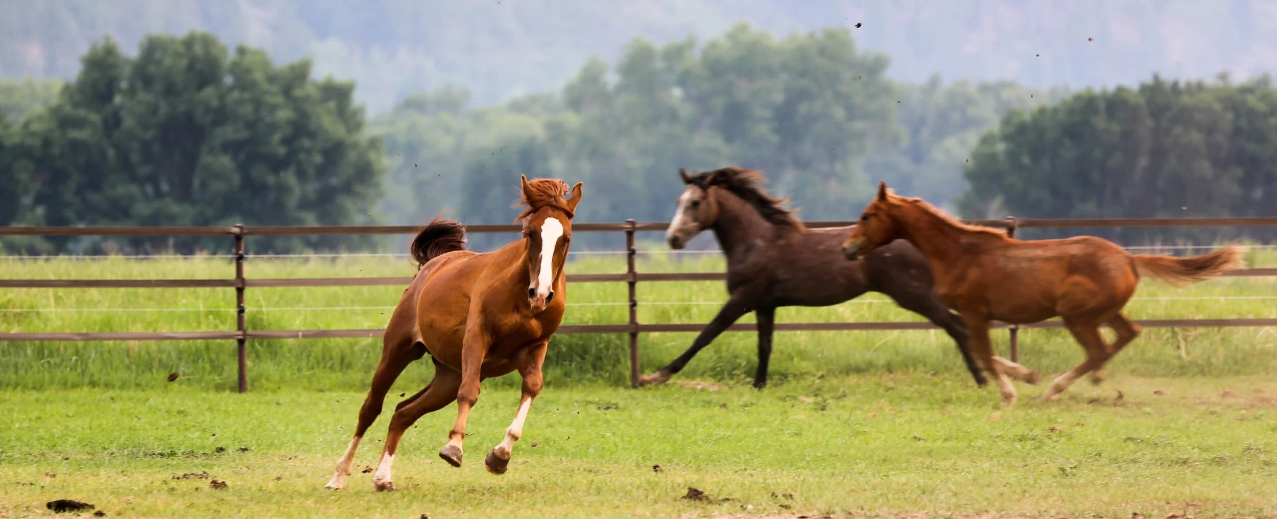 2018 Best Photos-17 2.jpg