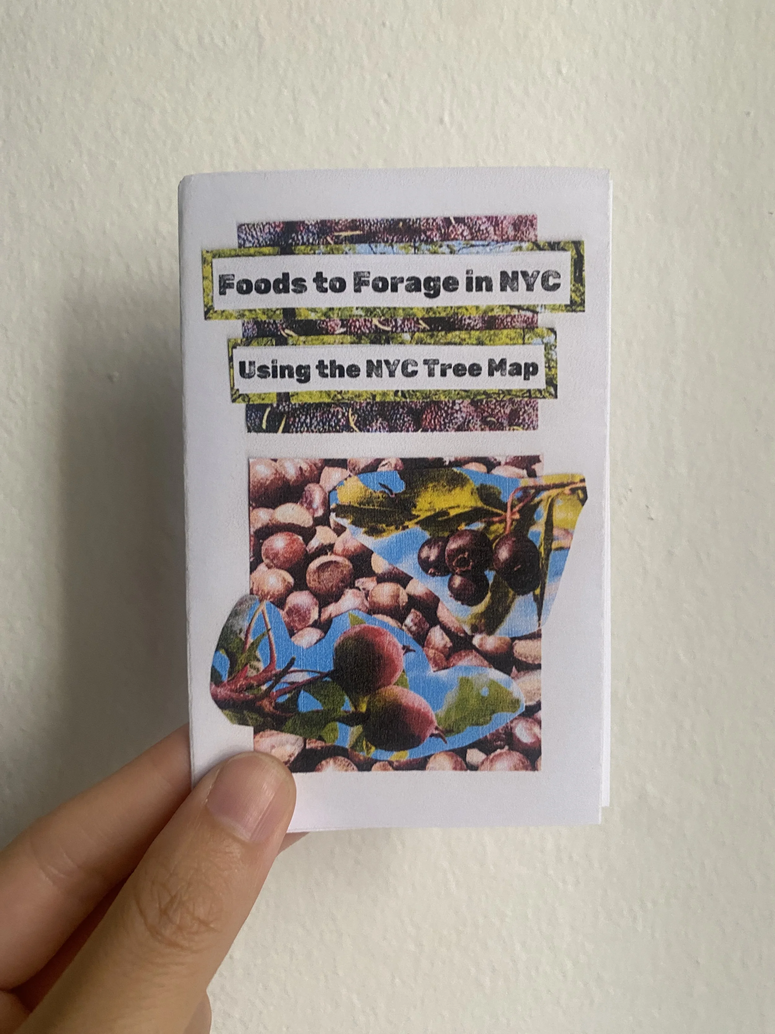 Foods to Forage in NYC Using the NYC Tree Map; collaged photos of chestnuts, crabapples, black cherries, and mulberries.