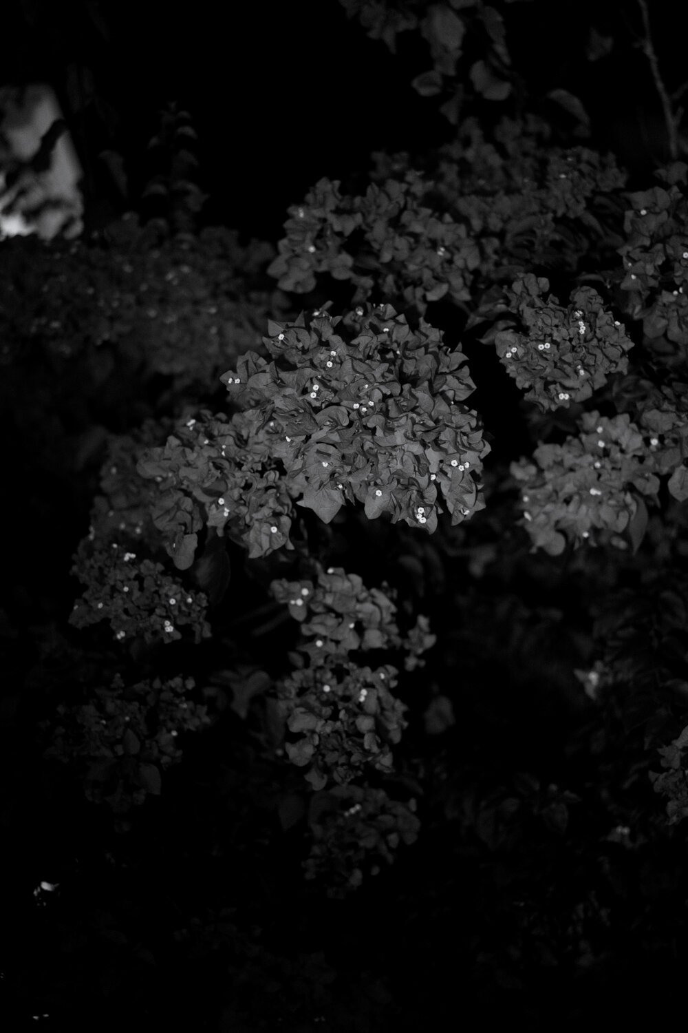 ninaandfabio-108.jpg
