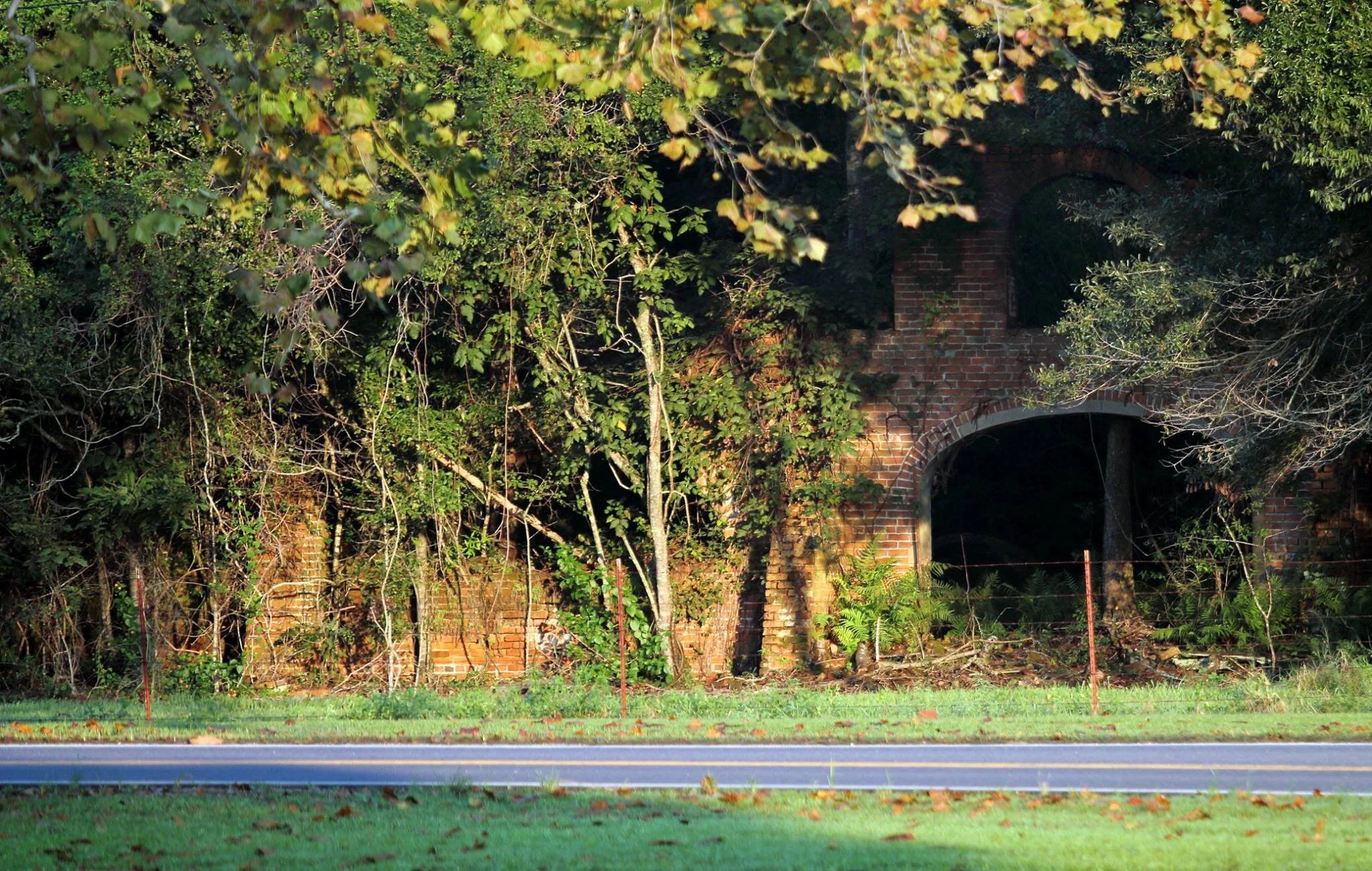 Laurel Valley Plantation