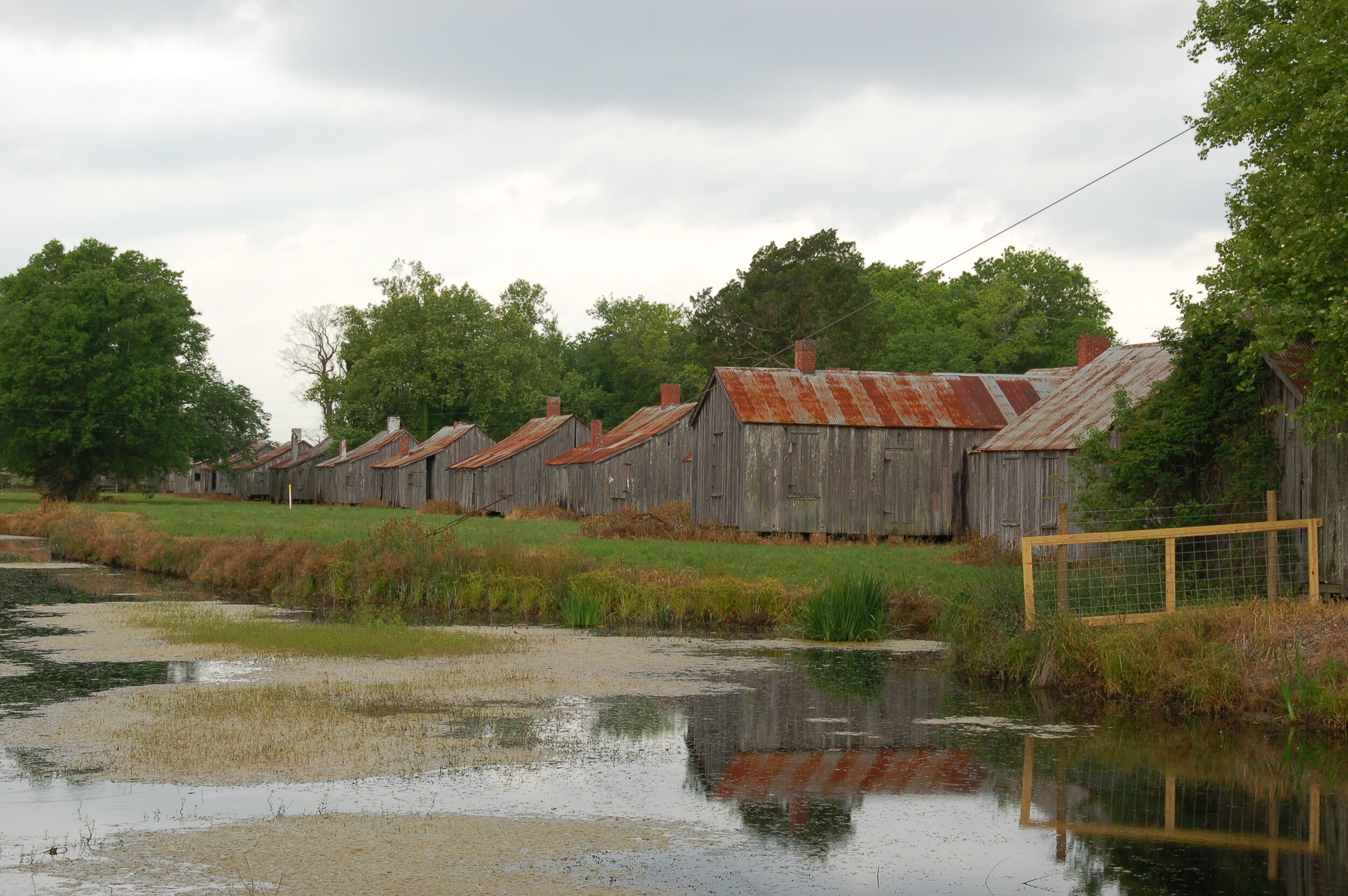 DSC_4787.JPG