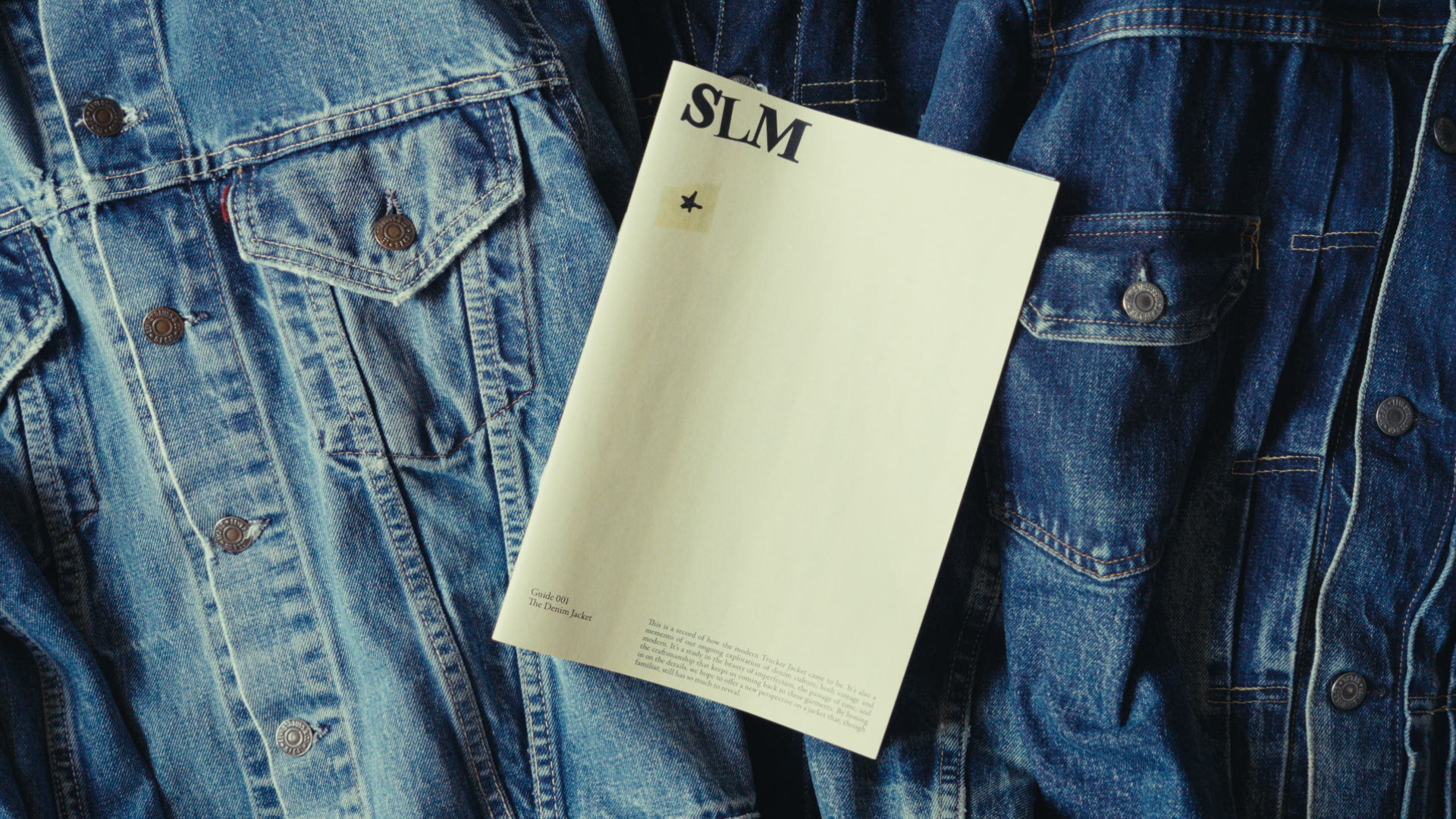 03 SLM Guide-v02 (Landscape).00_00_01_04.Still012.png