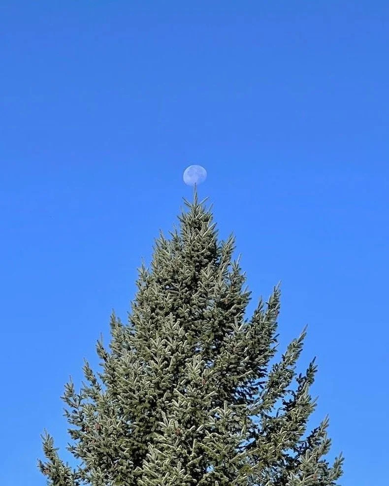 We wish you a peaceful and prosperous 2025! 💫

We&rsquo;re genuinely grateful for your continuing interest in and support of our artists, exhibitions, projects, and programming over all these many years, but especially during this time of transition