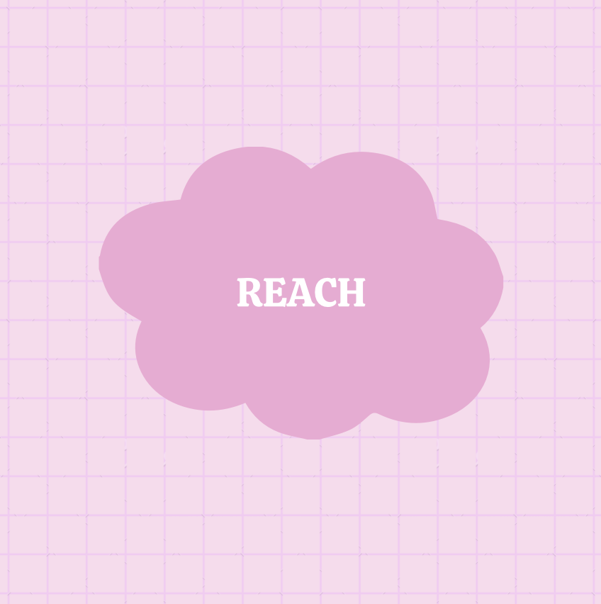 REACH.png