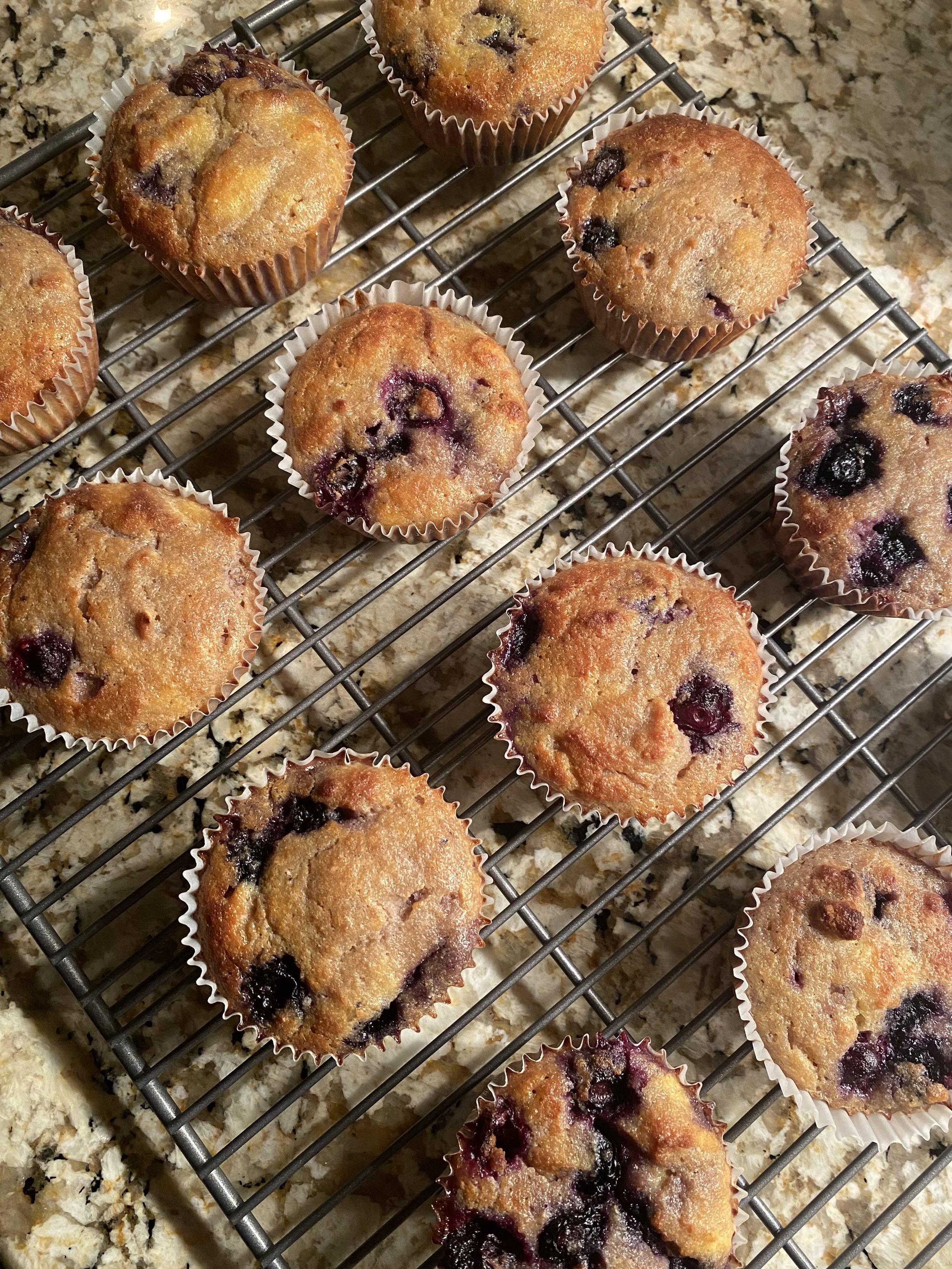 Grain-Free Blueberry Coconut Muffin Recipe