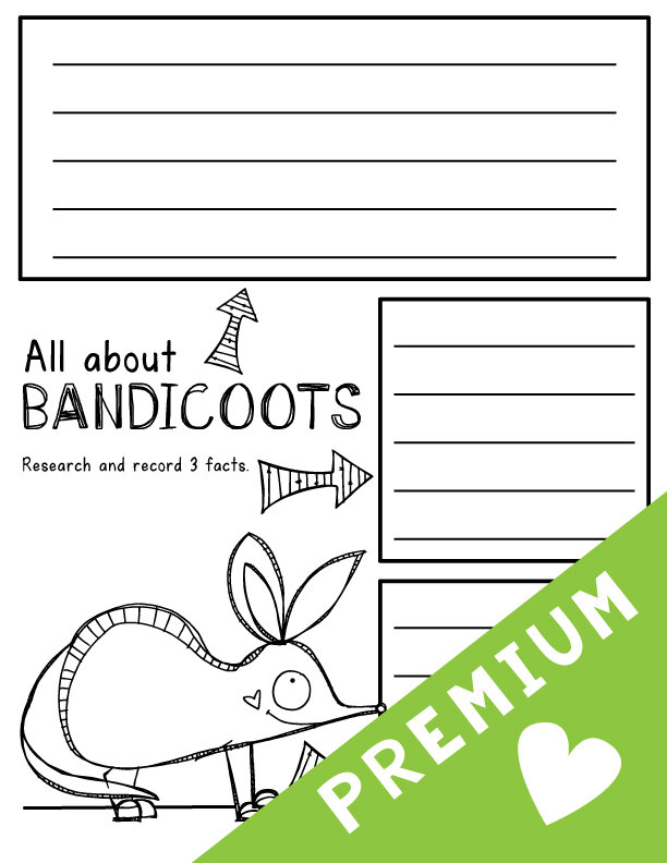 All about bandicoots