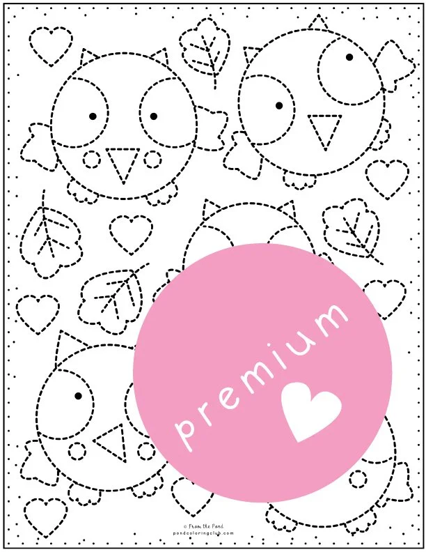 Little owl tracing