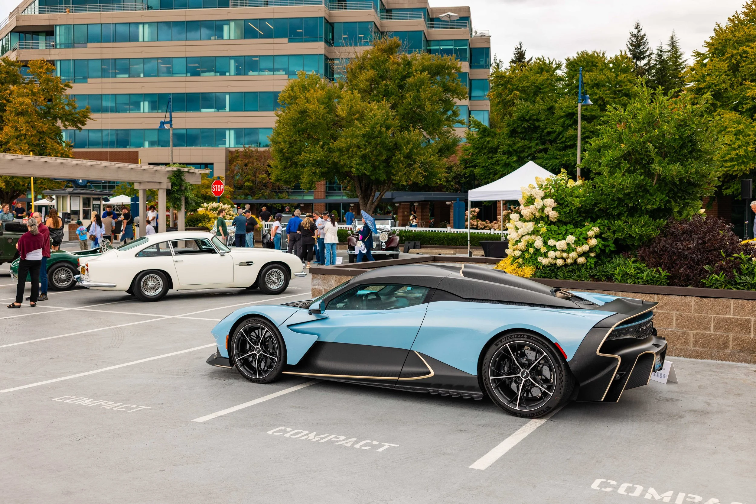 NW-EXOTICS-WEB-1897.jpg