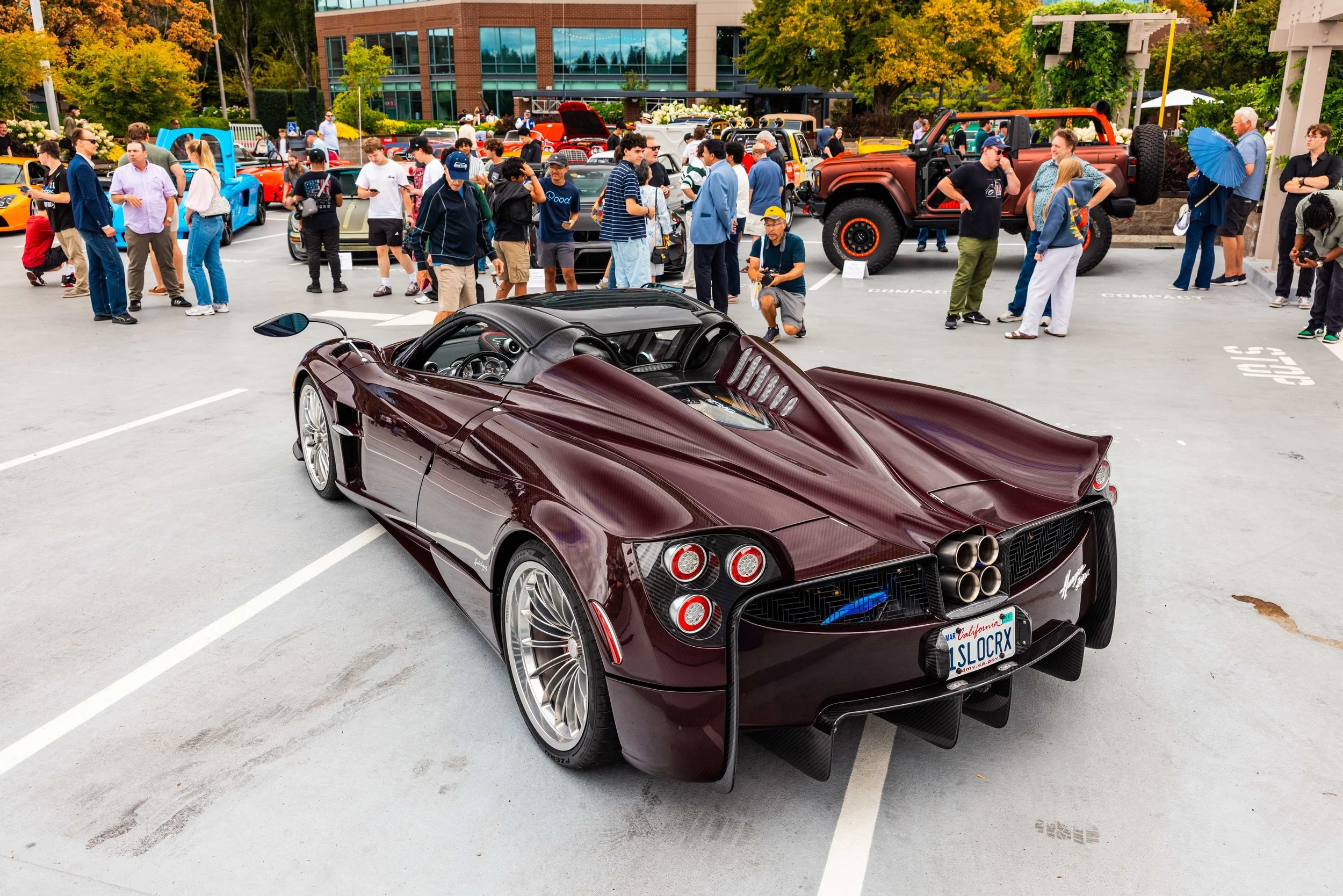 NW-EXOTICS-WEB-1869.jpg