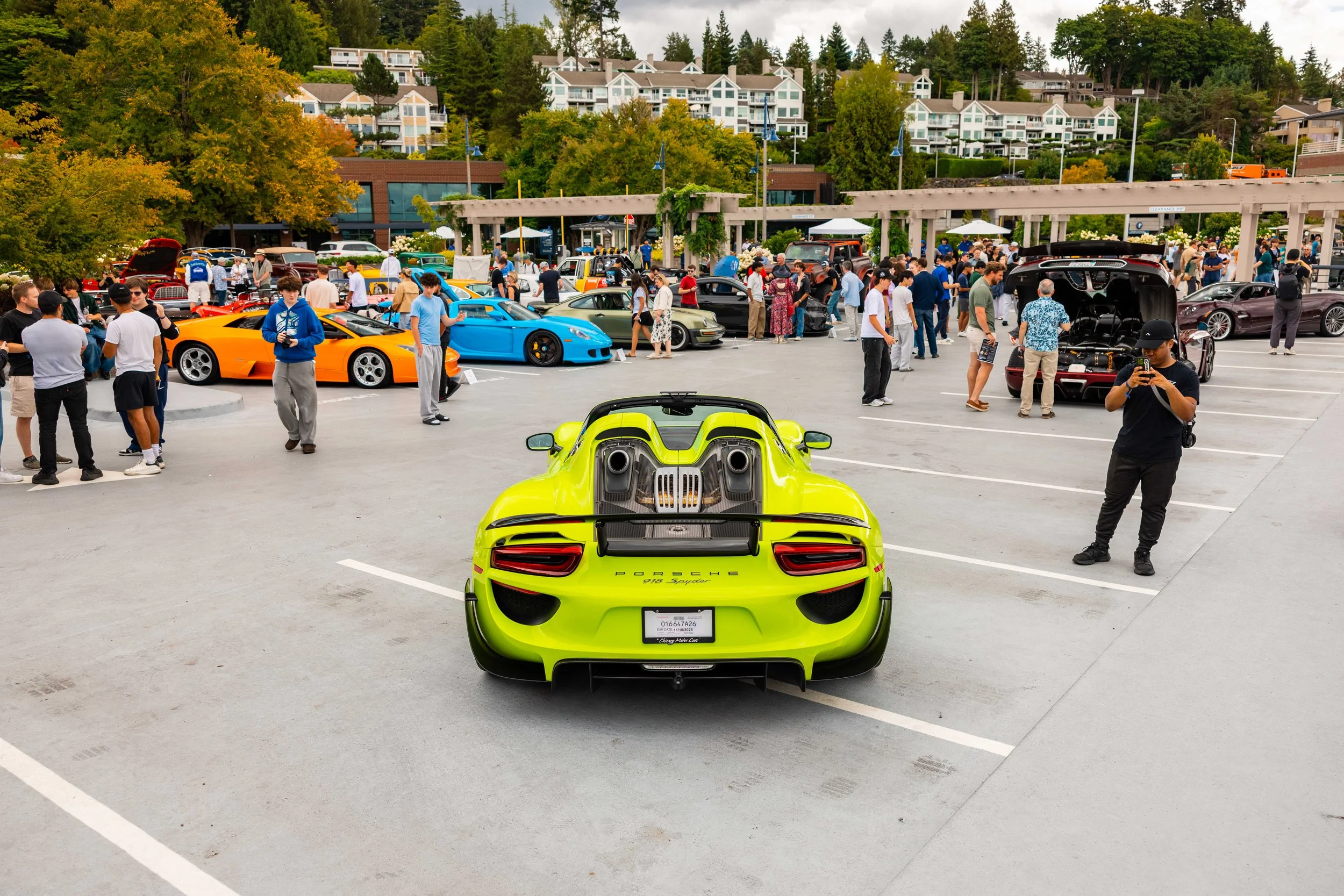 NW-EXOTICS-WEB-1872.jpg