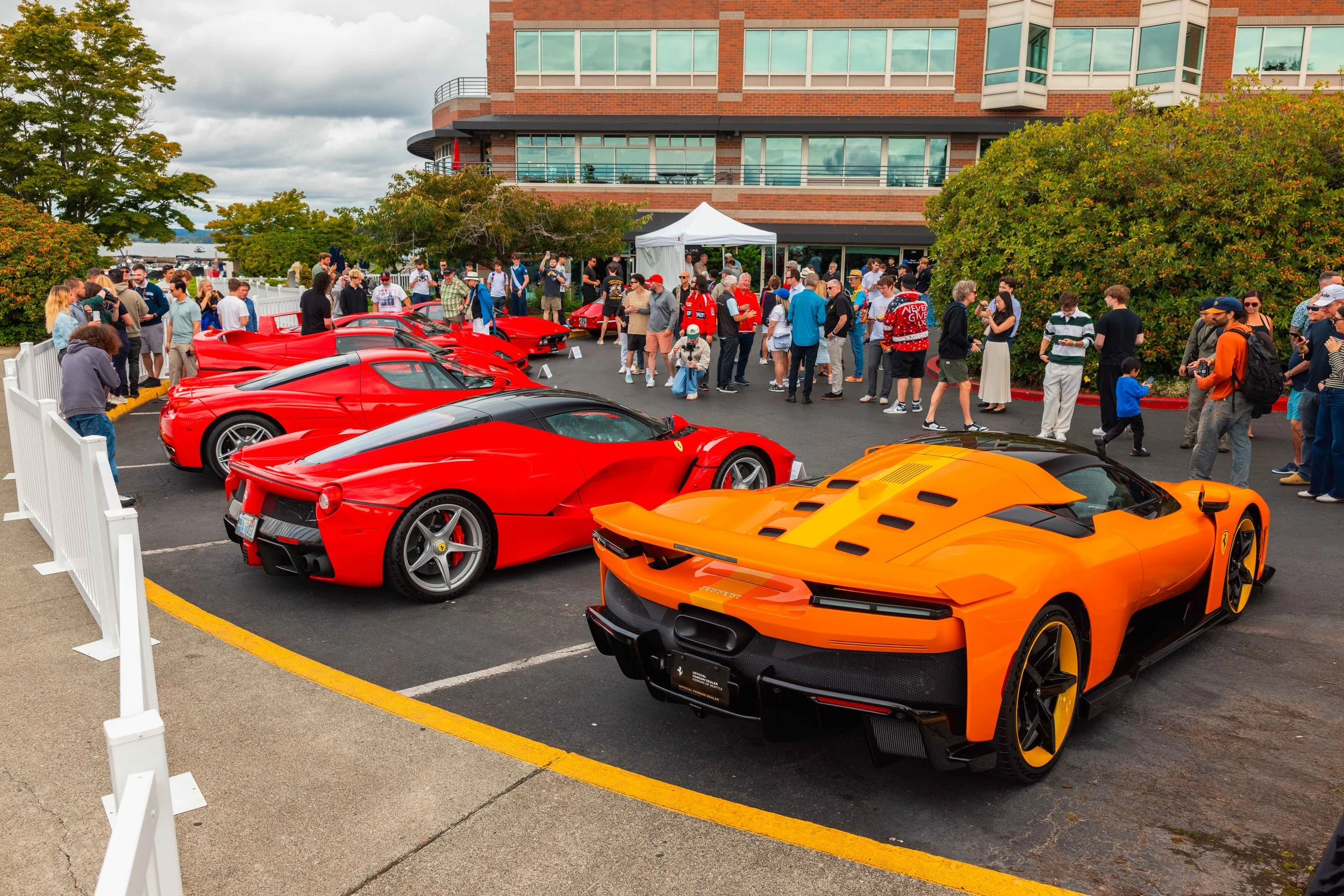 NW-EXOTICS-WEB-1836 2.jpg