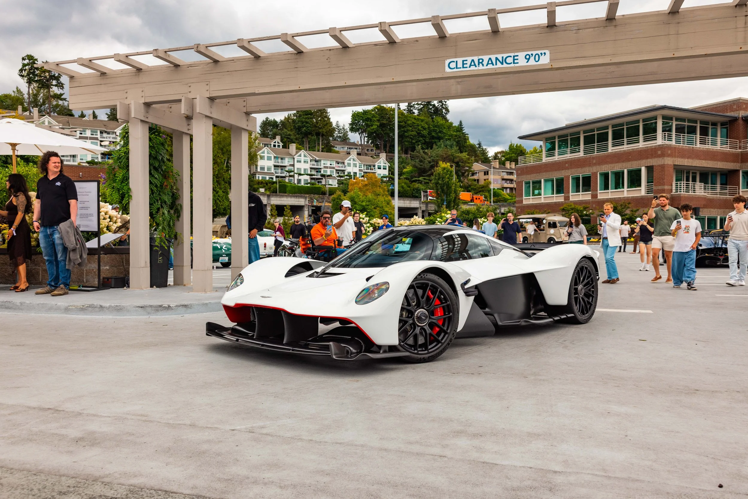 NW-EXOTICS-WEB-1921.jpg