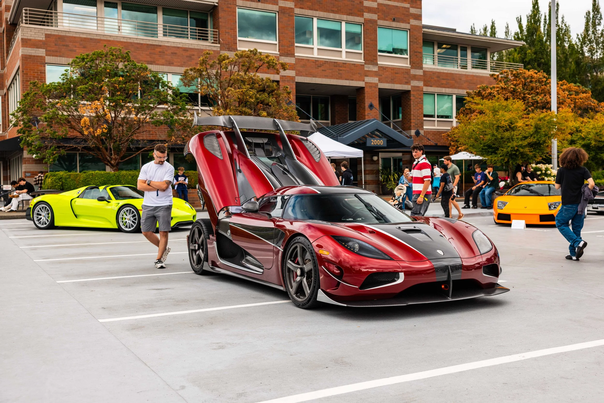 NW-EXOTICS-WEB-1871 2.jpg